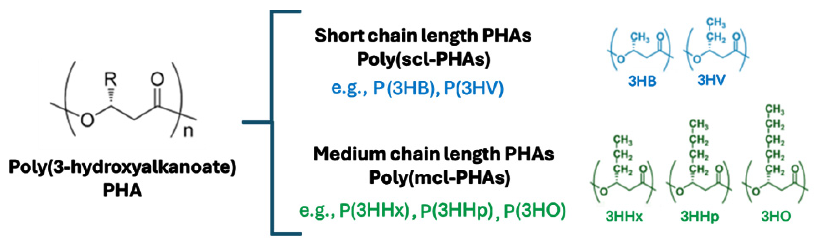 Microorganisms 12 02135 g001