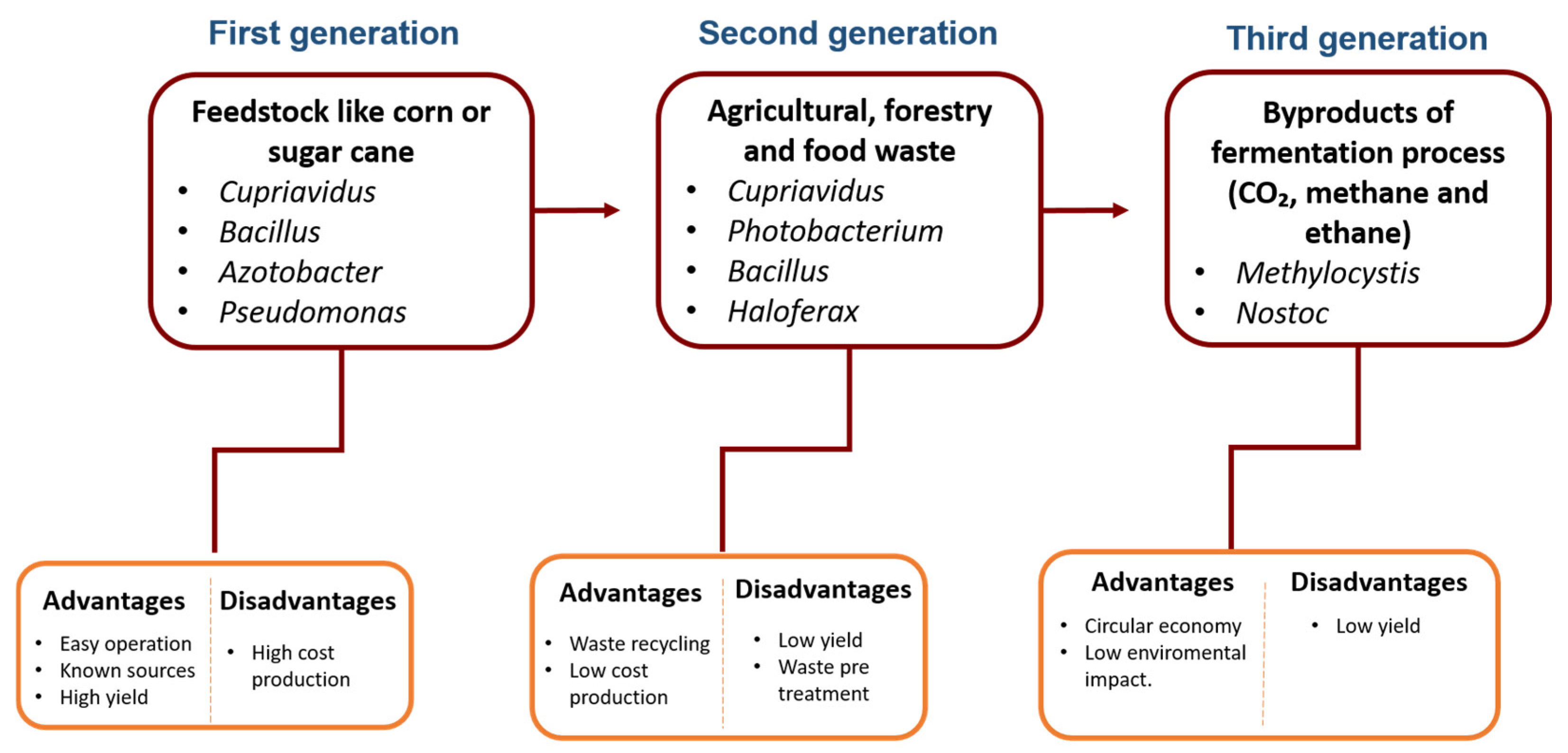 Microorganisms 12 02135 g002