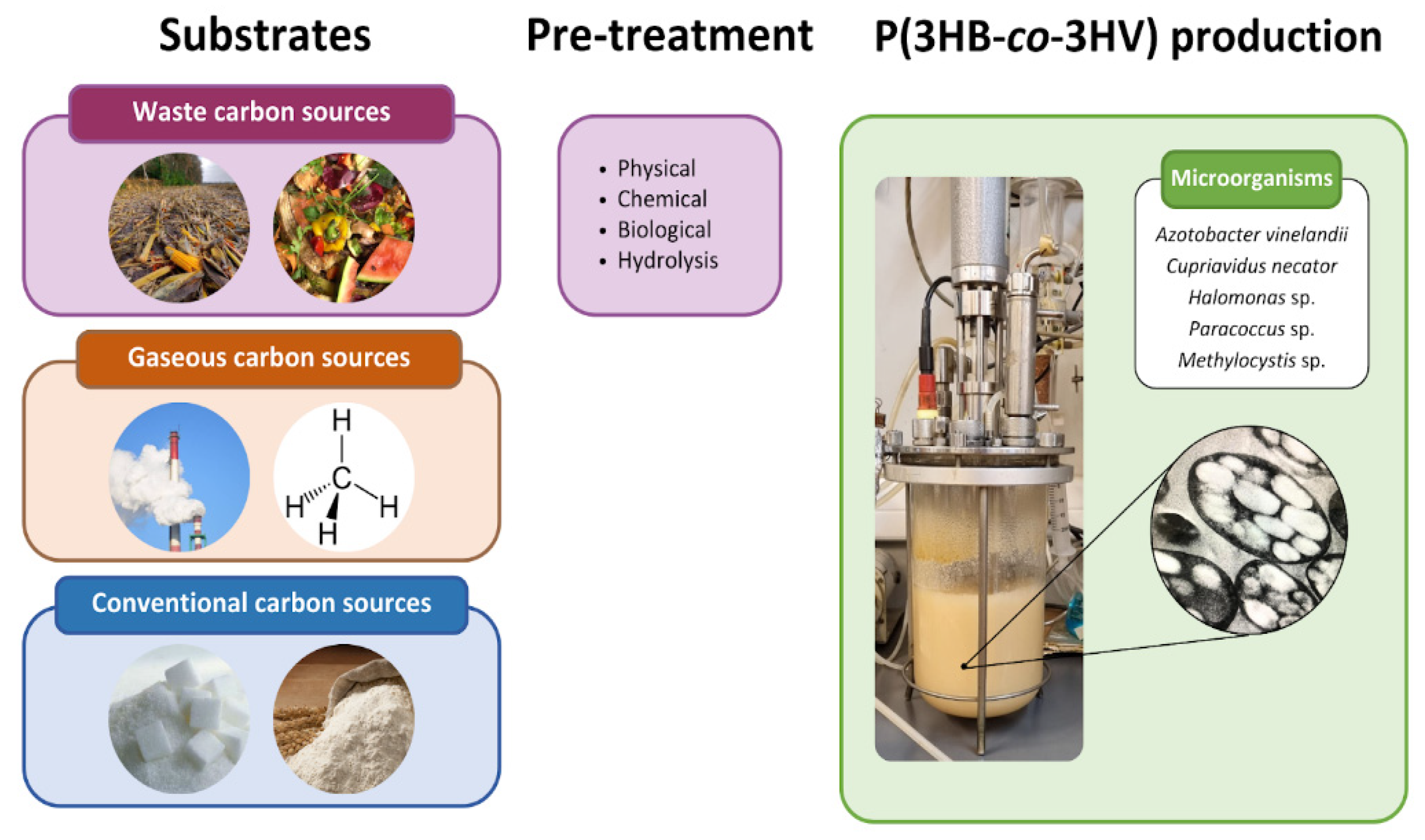 Microorganisms 12 02135 g003