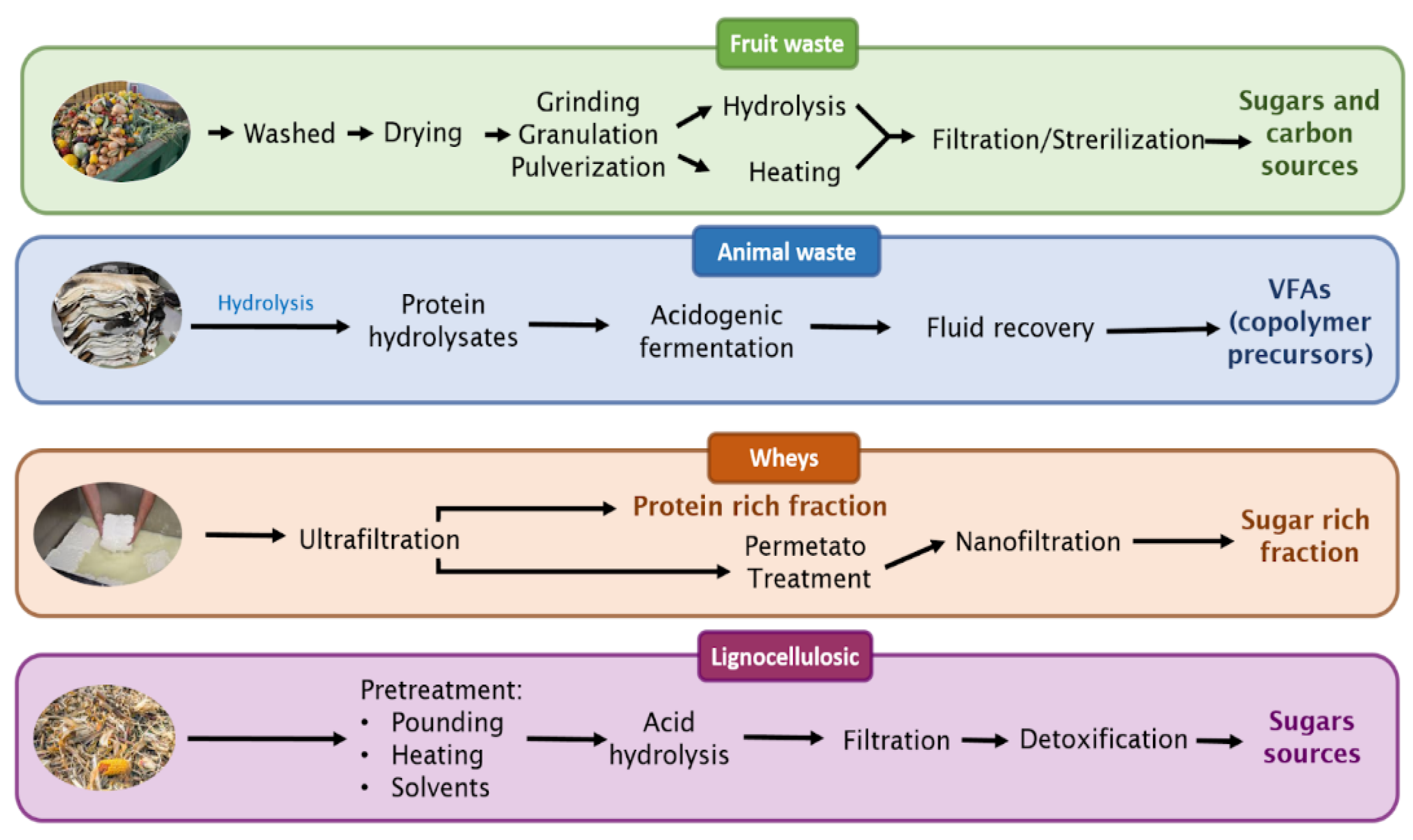 Microorganisms 12 02135 g004