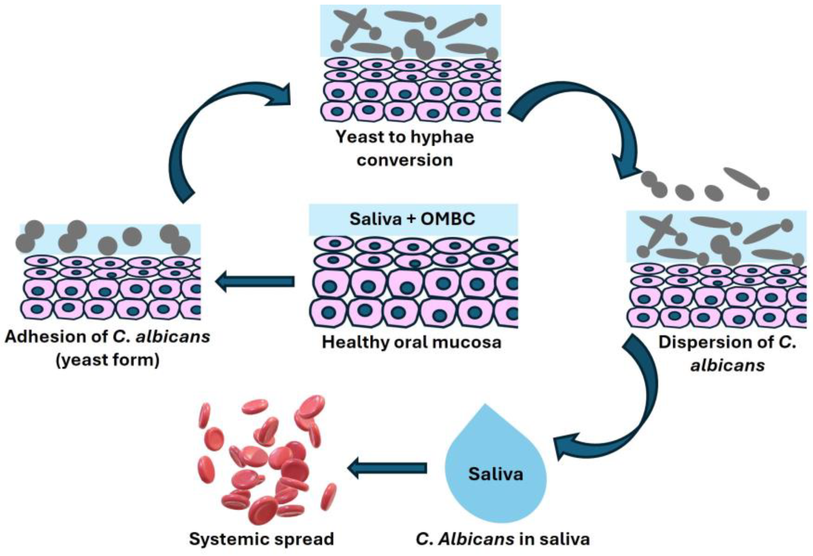 Microorganisms 12 02138 g001