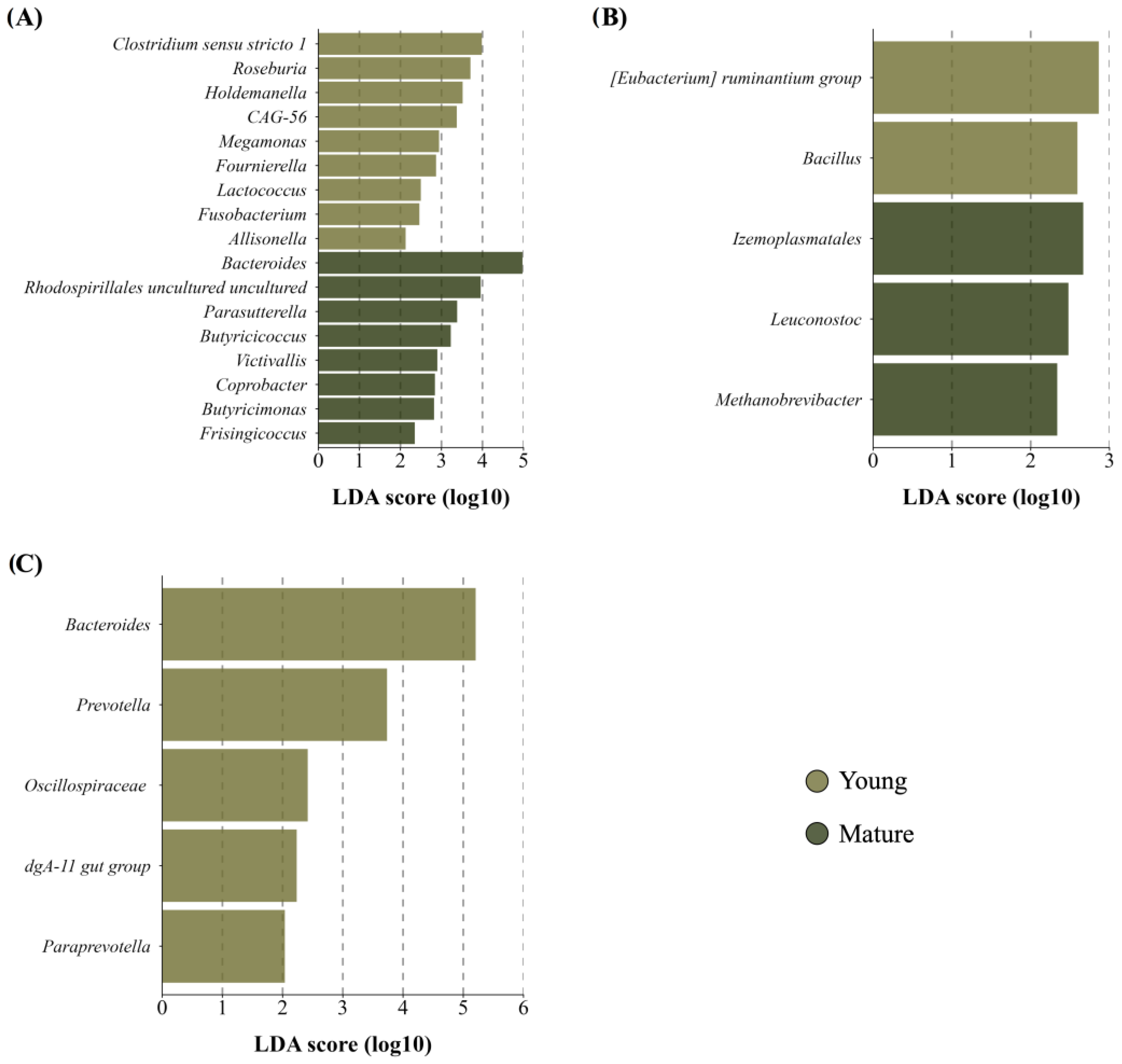 Microorganisms 12 02142 g004