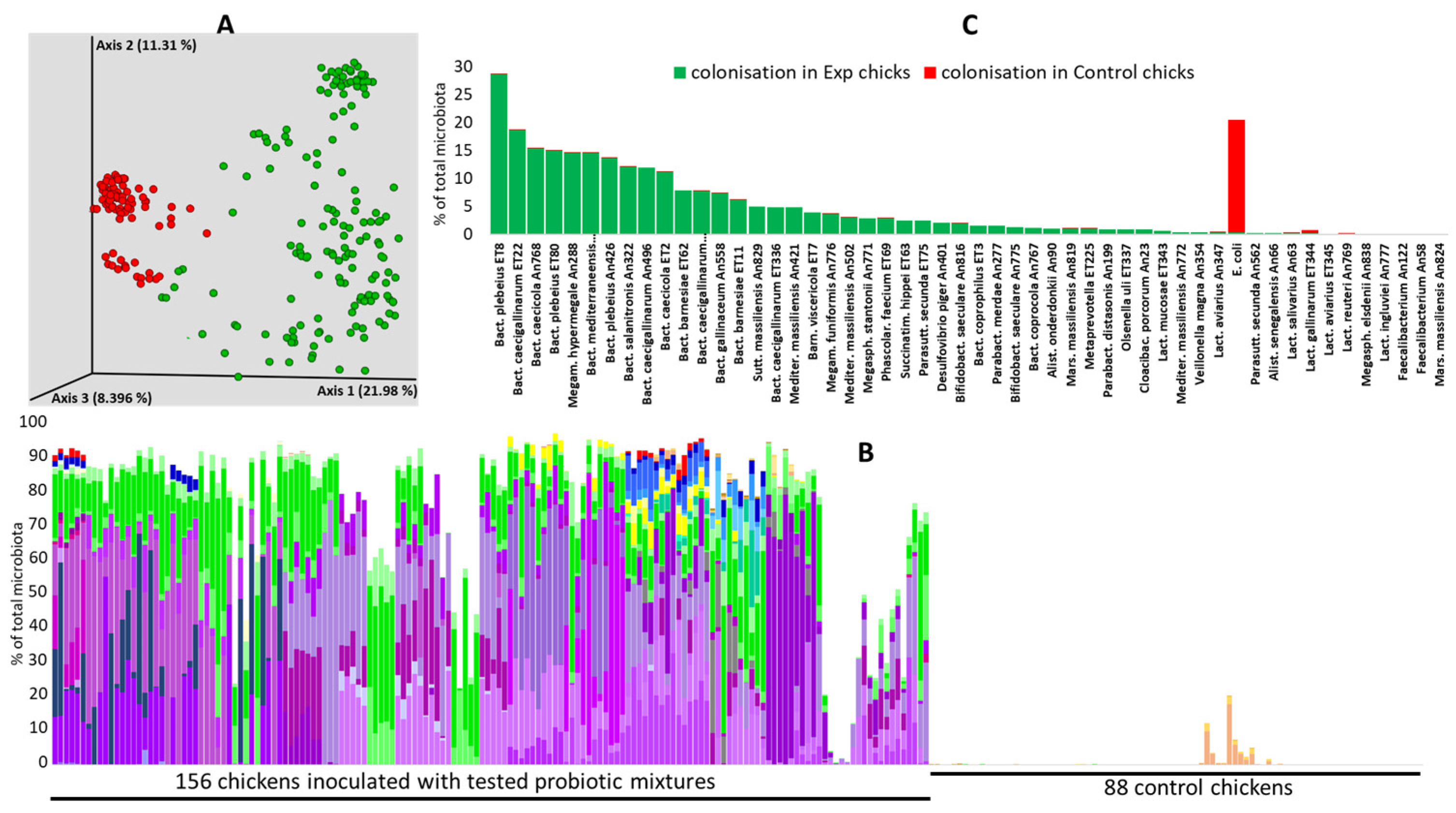 Microorganisms 12 02145 g002