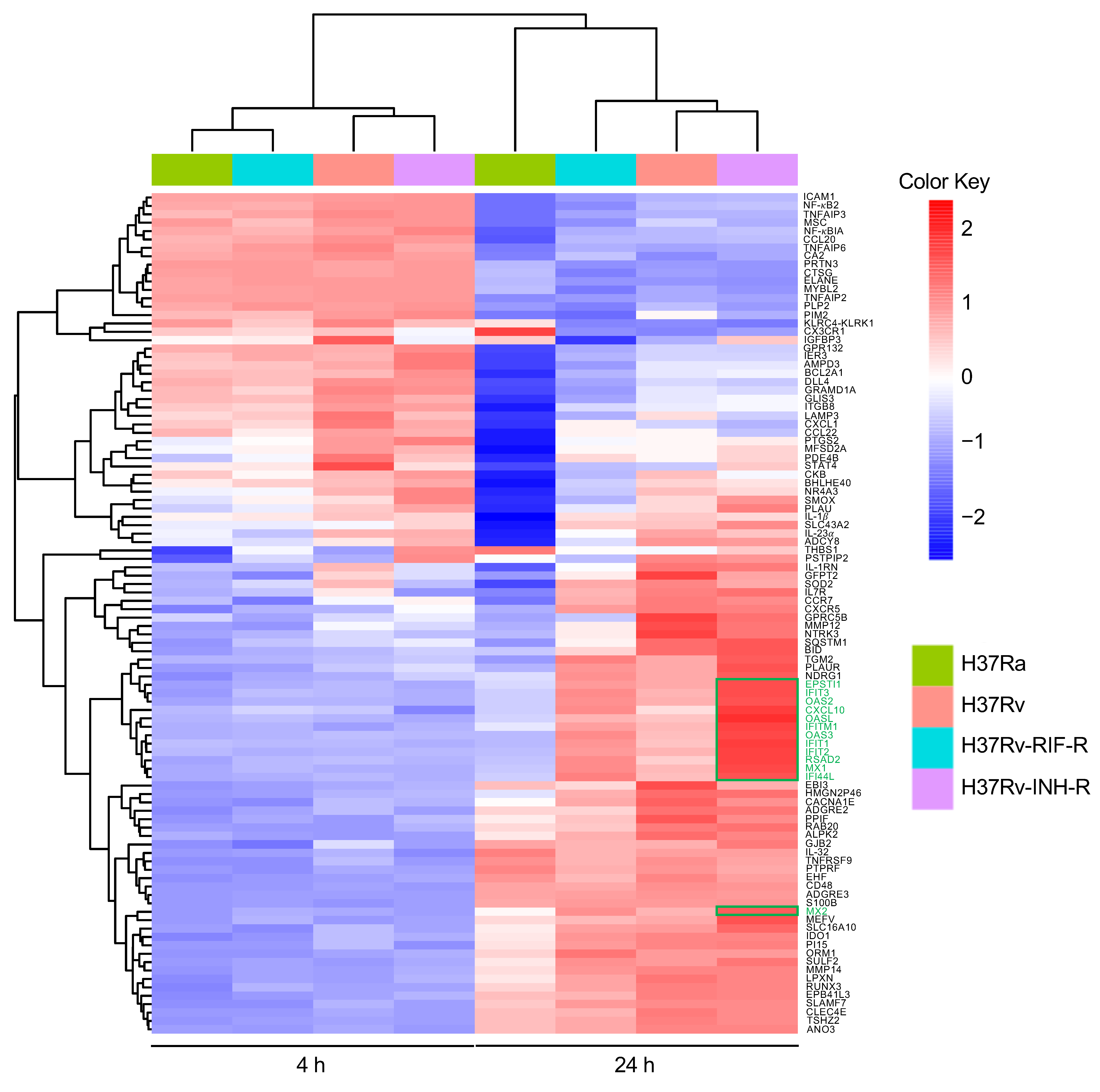 Microorganisms 12 02146 g006