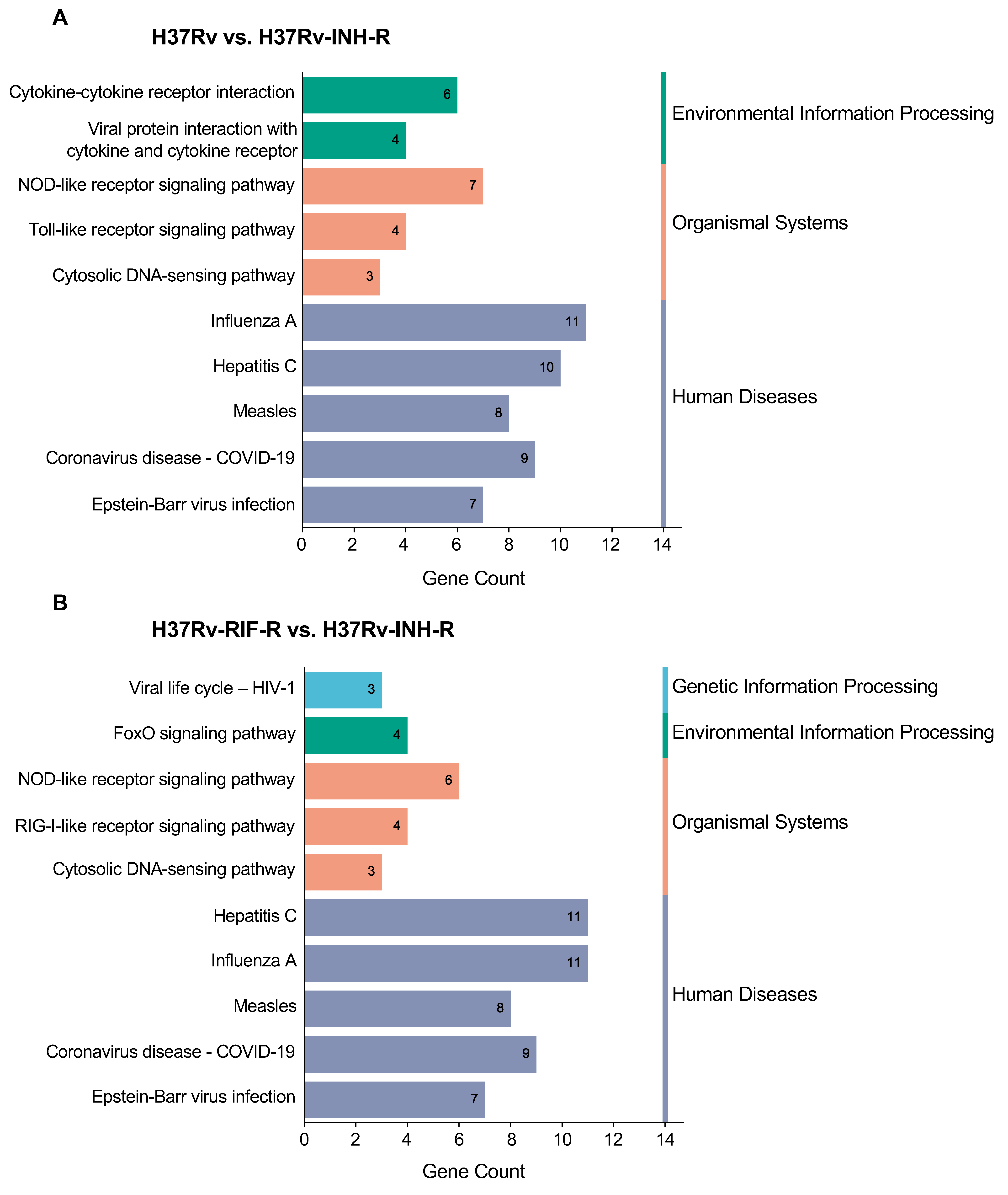 Microorganisms 12 02146 g008