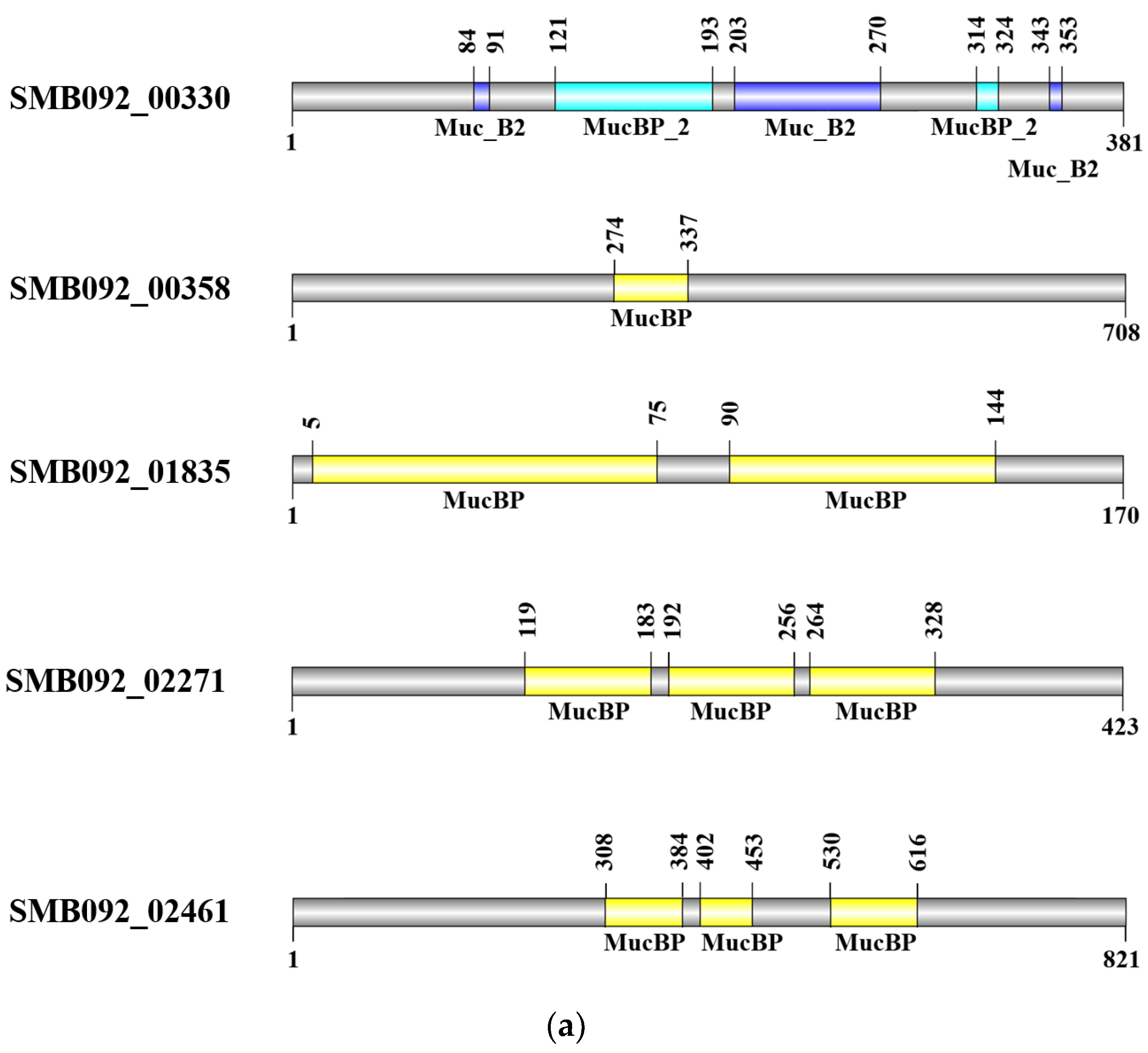 Microorganisms 12 02147 g002a