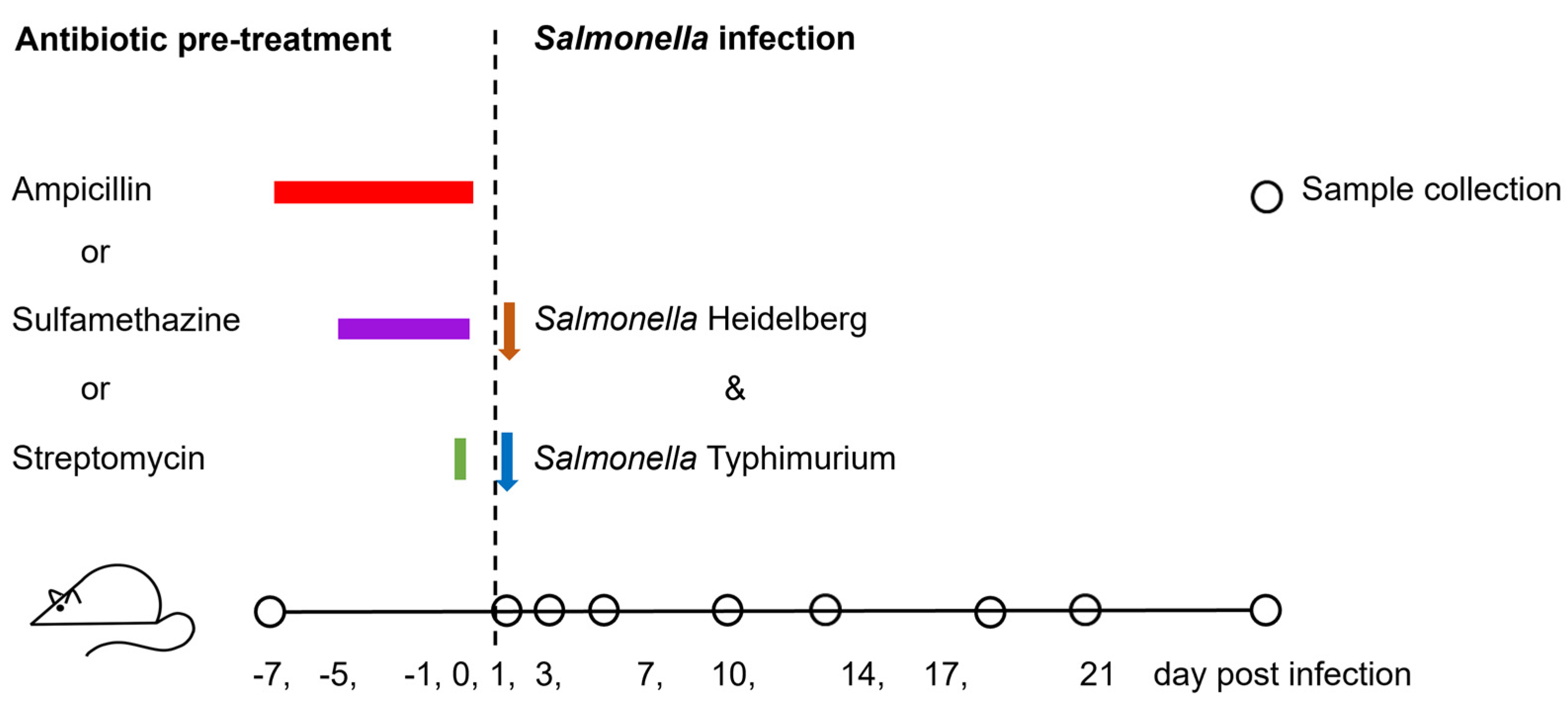 Microorganisms 12 02148 g001