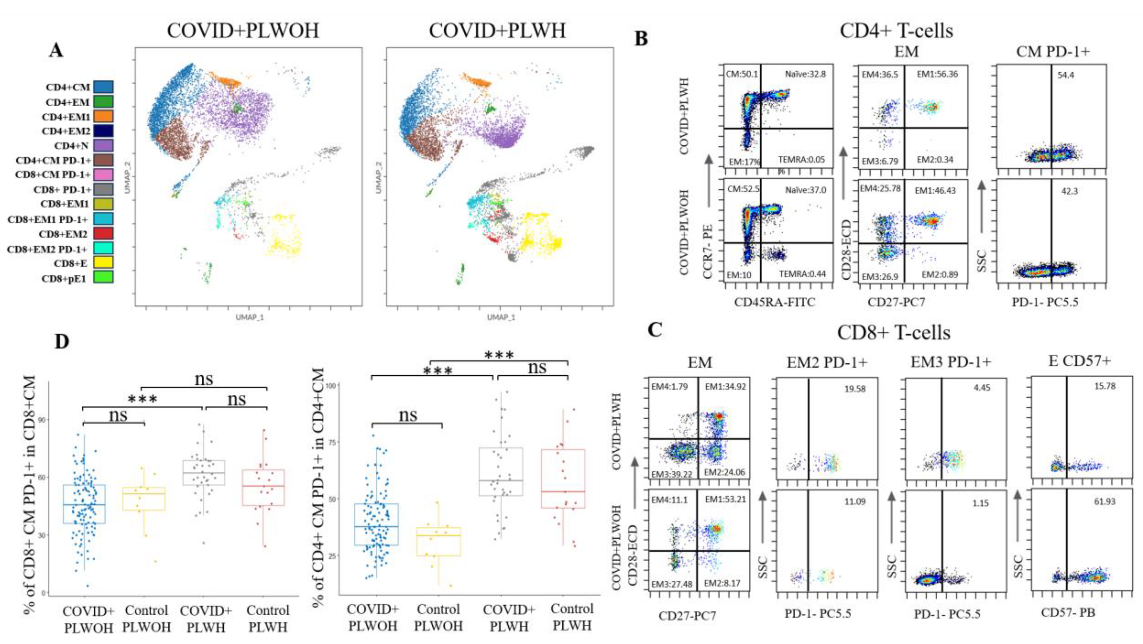Microorganisms 12 02149 g001 Microorganisms 12 02149 g001