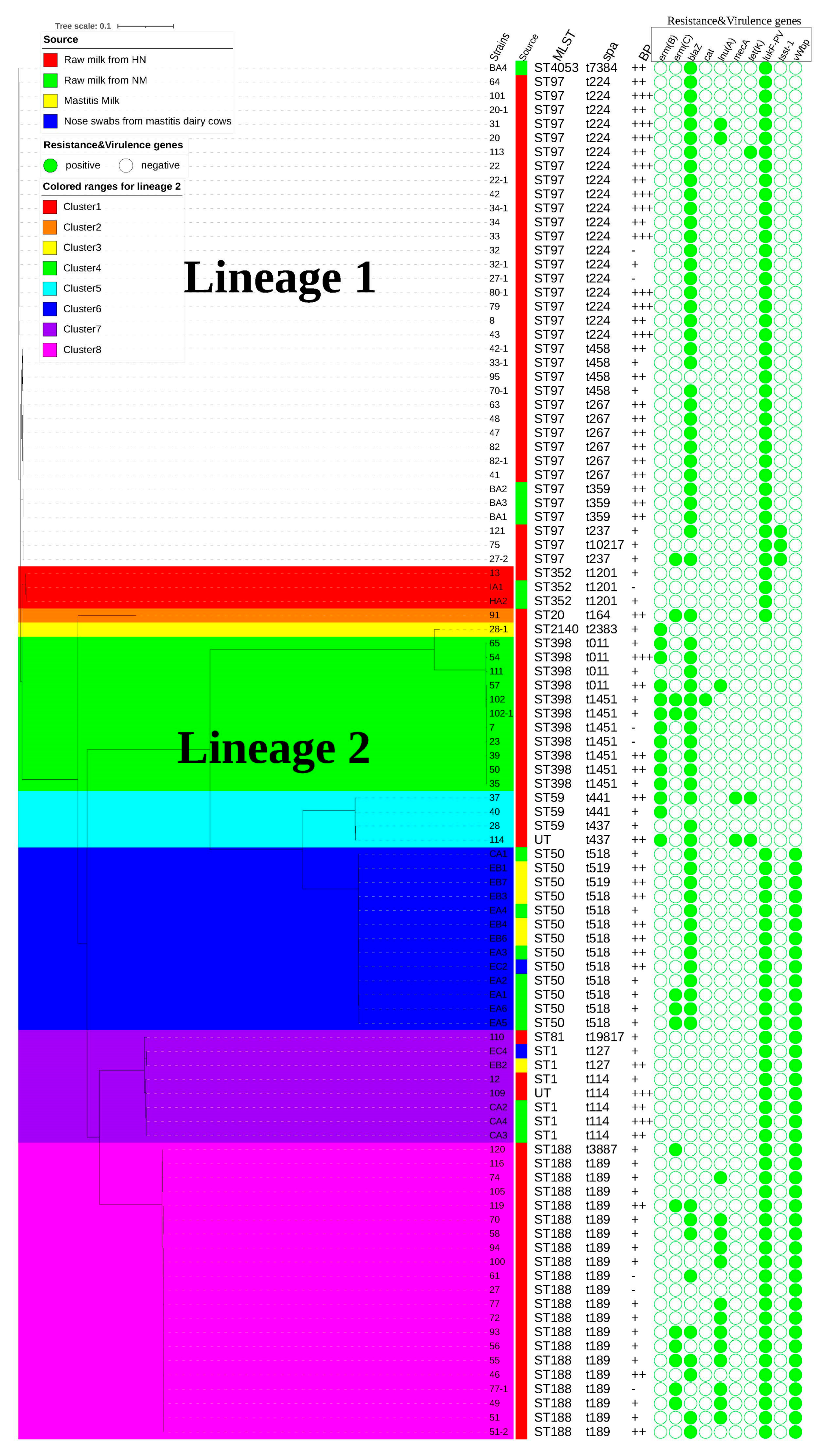 Microorganisms 12 02150 g001
