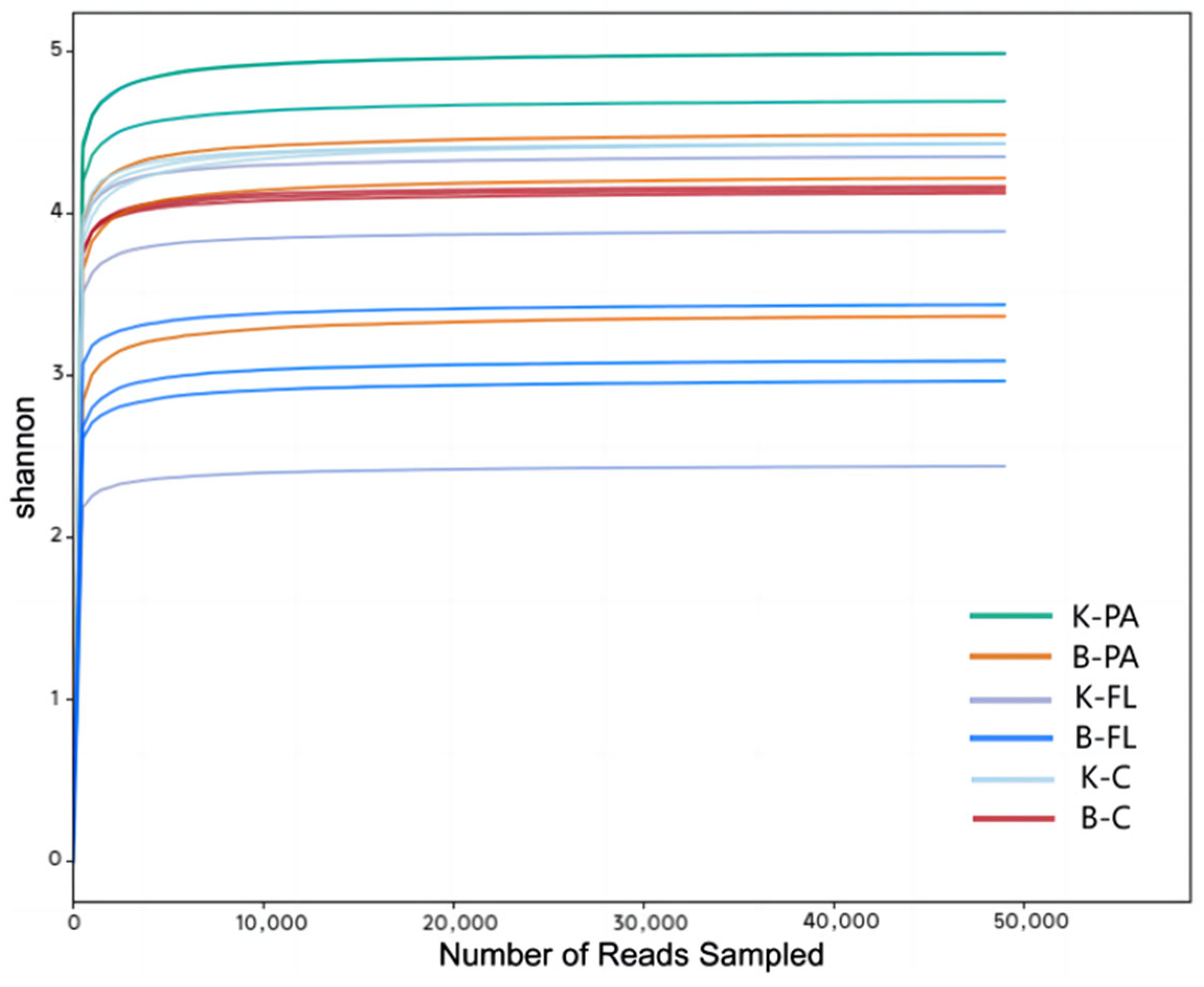 Microorganisms 12 02158 g001