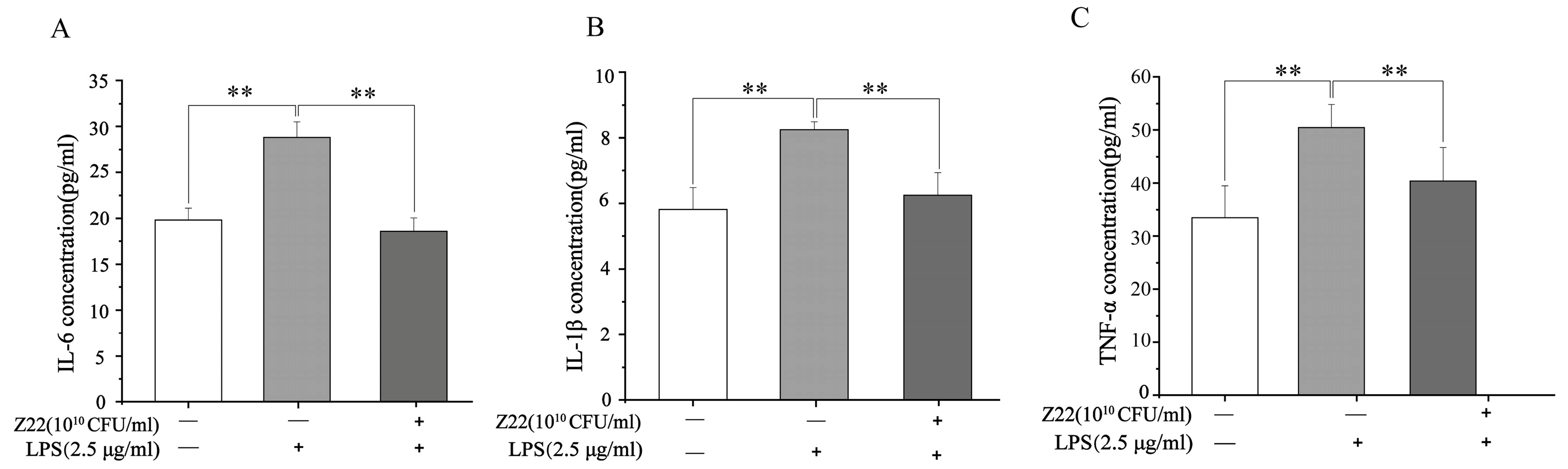 Microorganisms 12 02159 g001