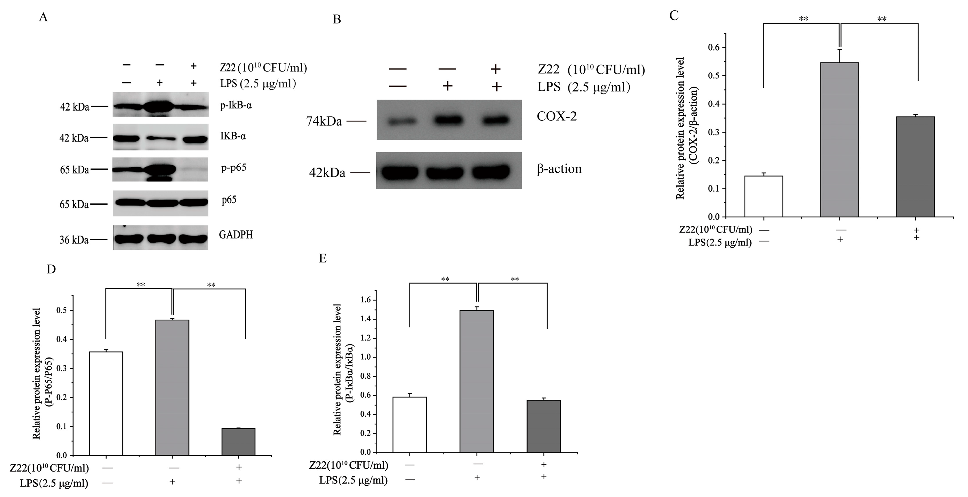 Microorganisms 12 02159 g002