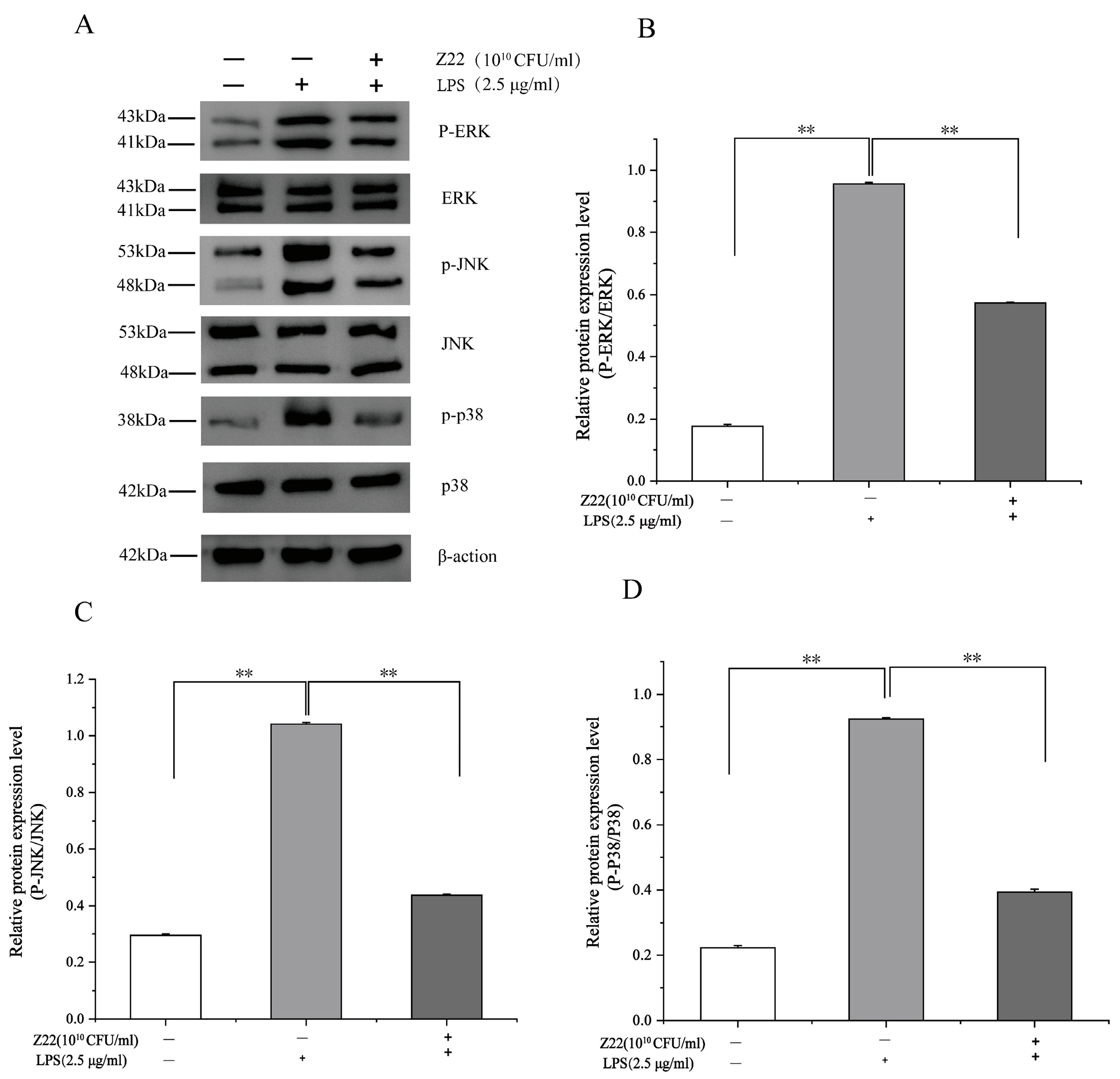 Microorganisms 12 02159 g003