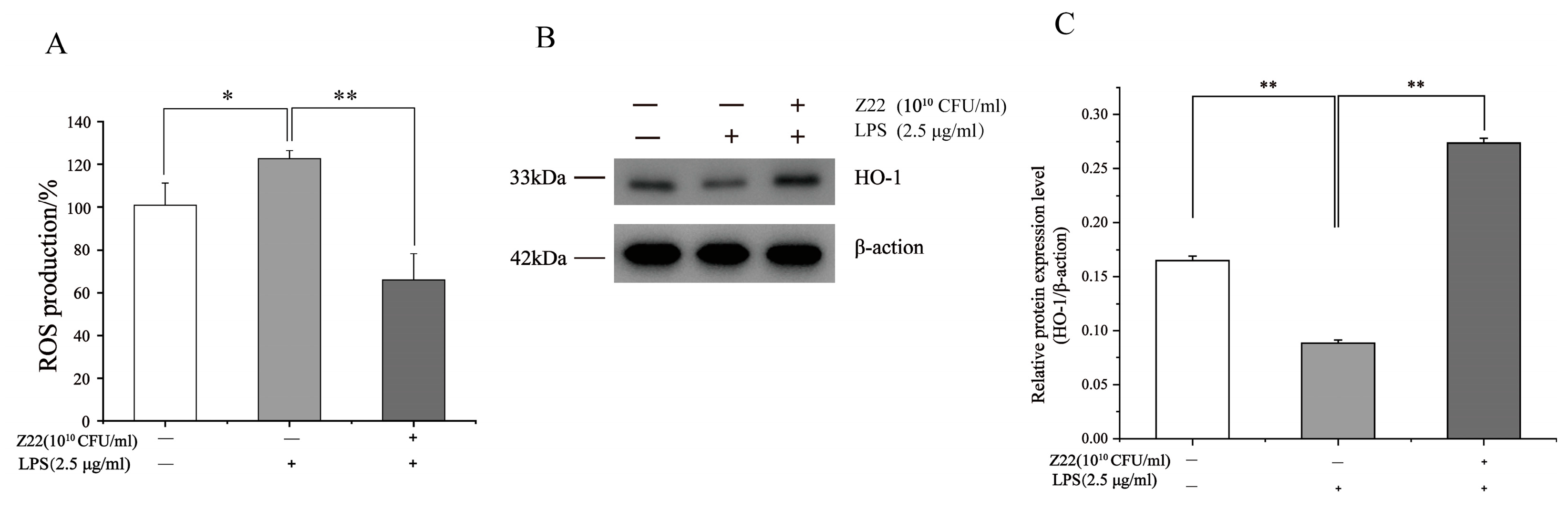 Microorganisms 12 02159 g004