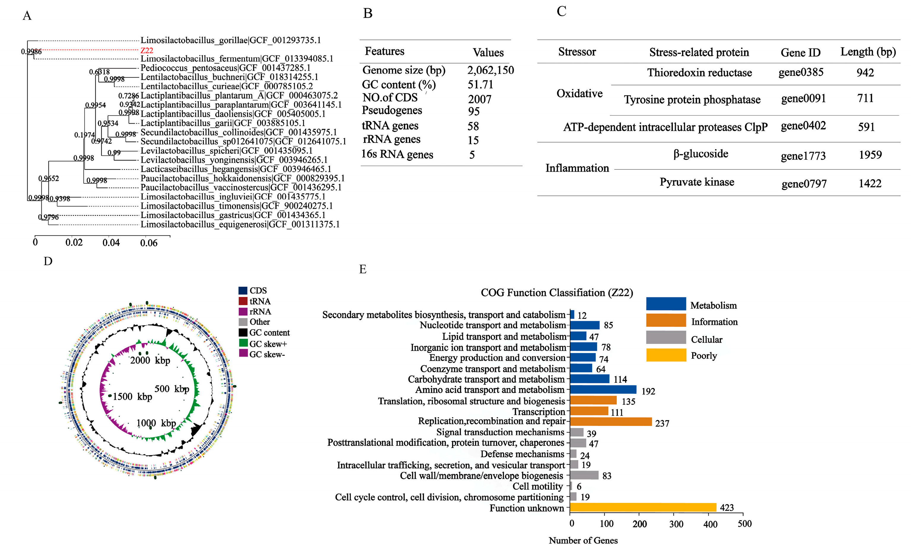 Microorganisms 12 02159 g005