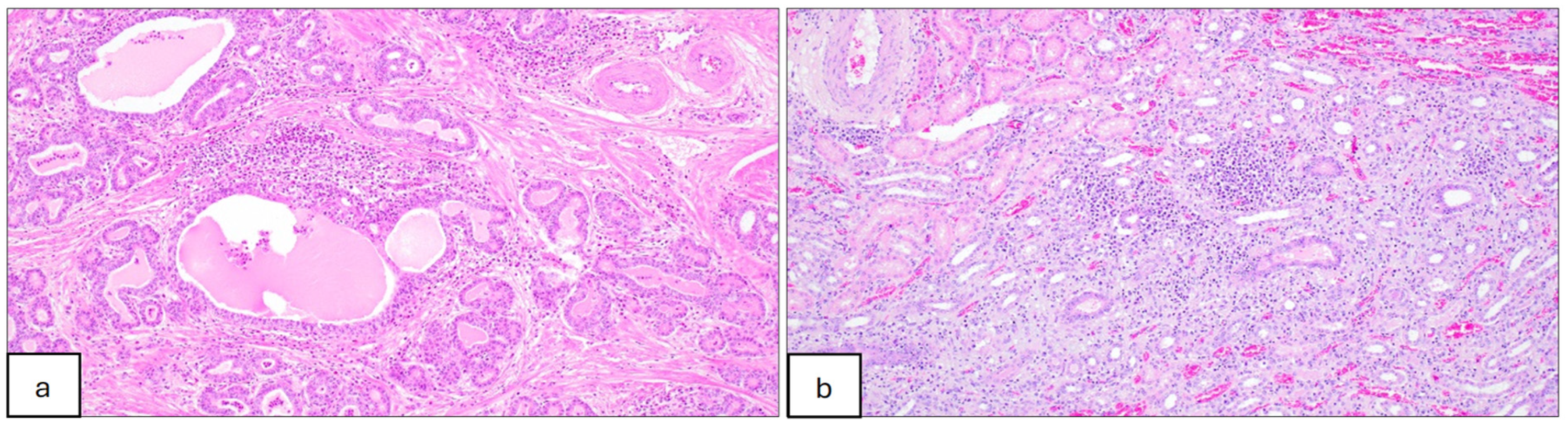 Microorganisms 12 02163 g003