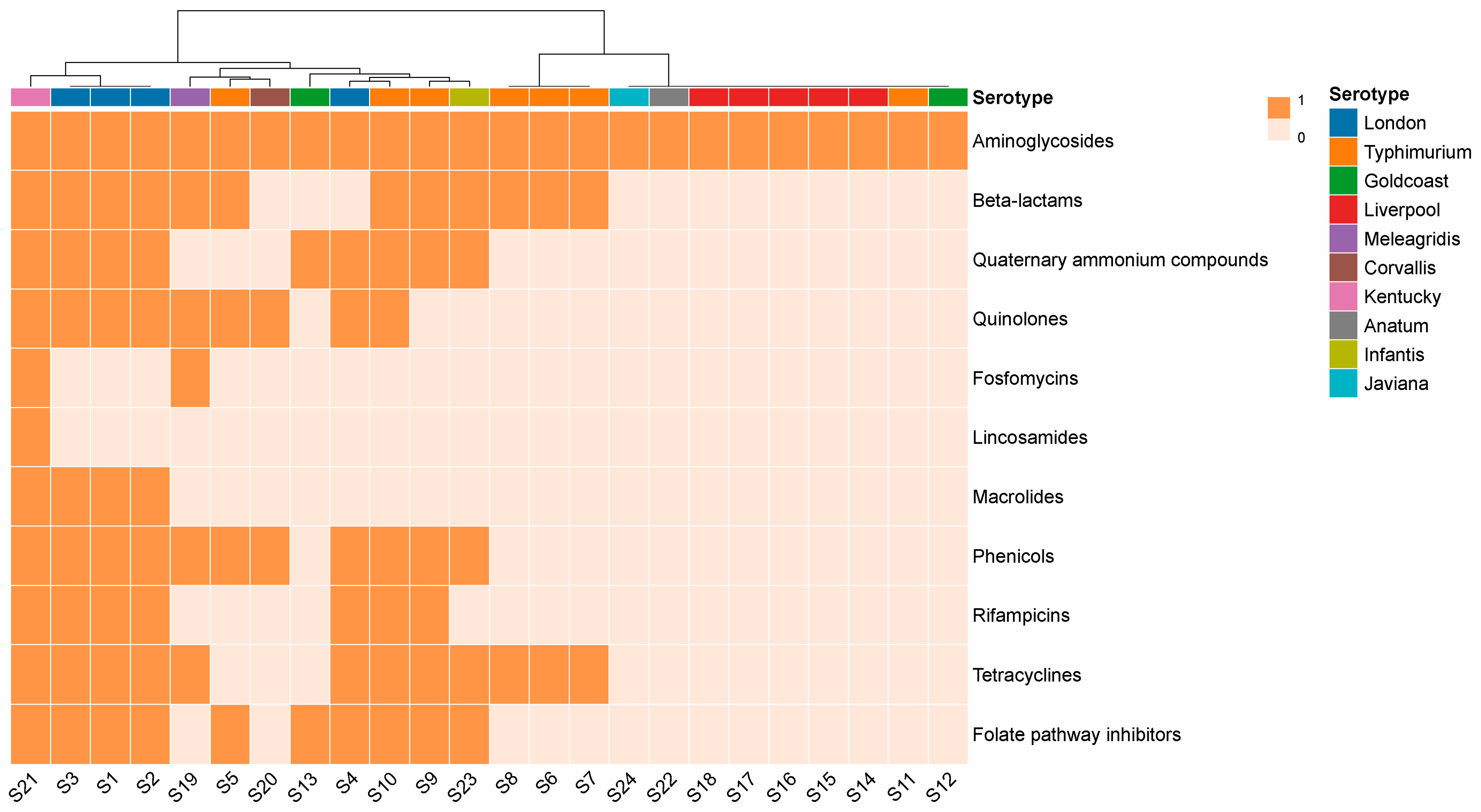 Microorganisms 12 02166 g001