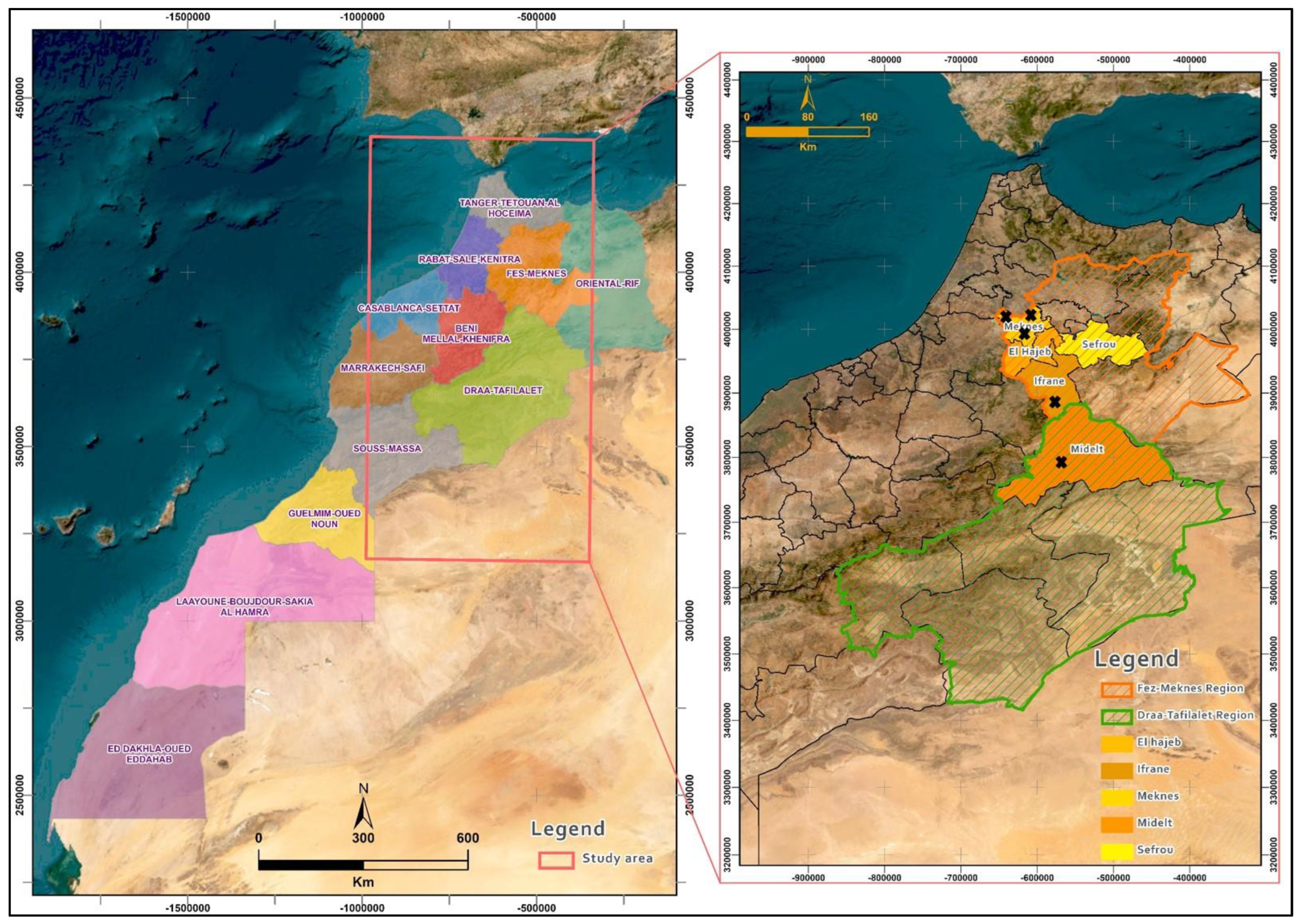 Microorganisms 12 02169 g001 Microorganisms 12 02169 g001