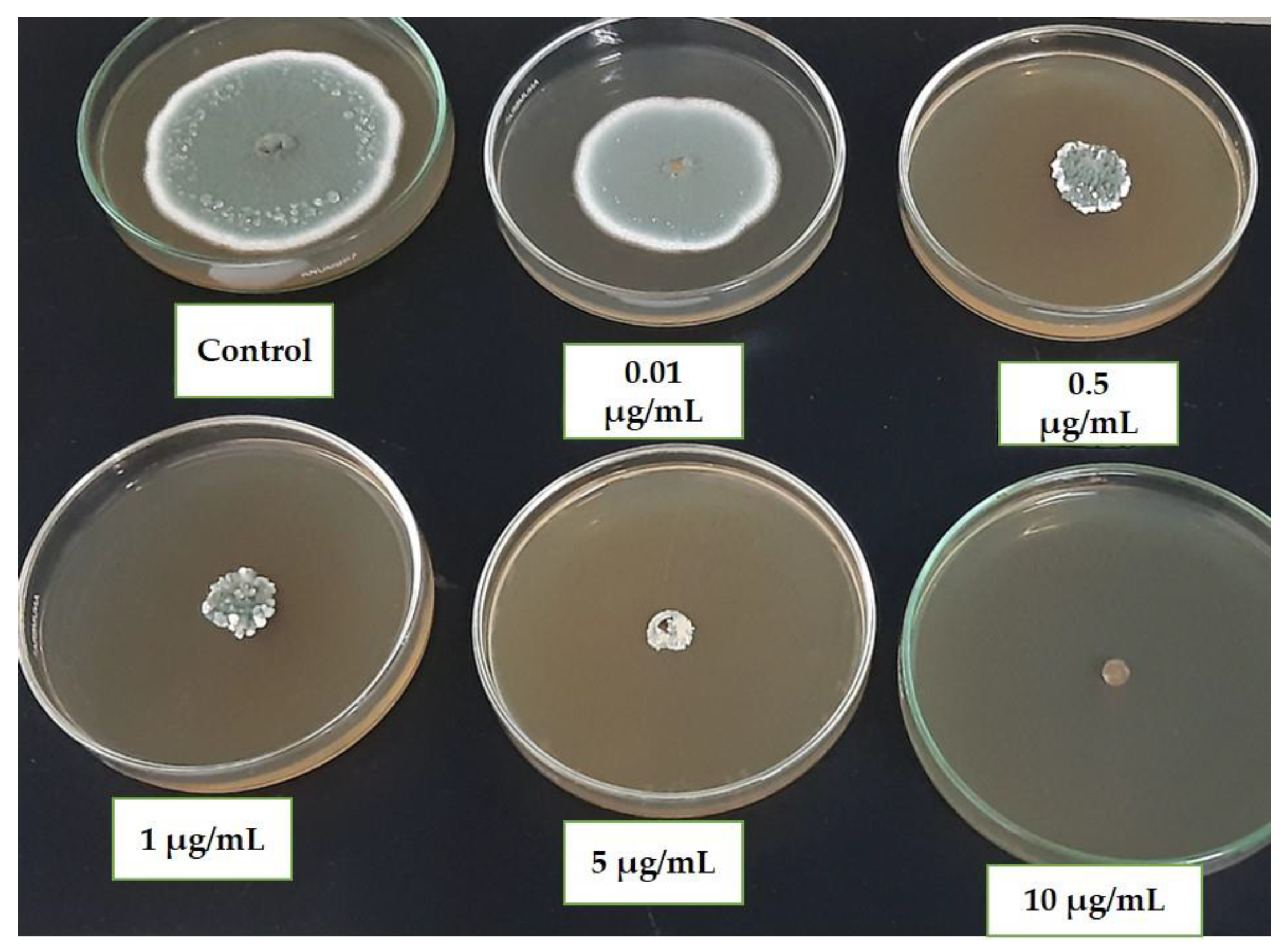 Microorganisms 12 02169 g003 Microorganisms 12 02169 g003