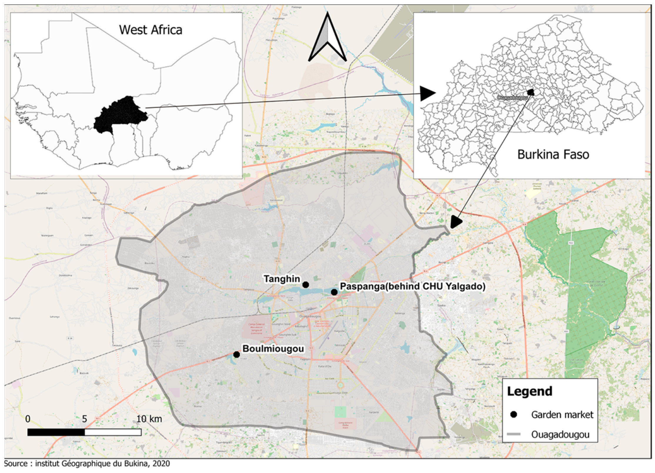 Microorganisms 12 02170 g001