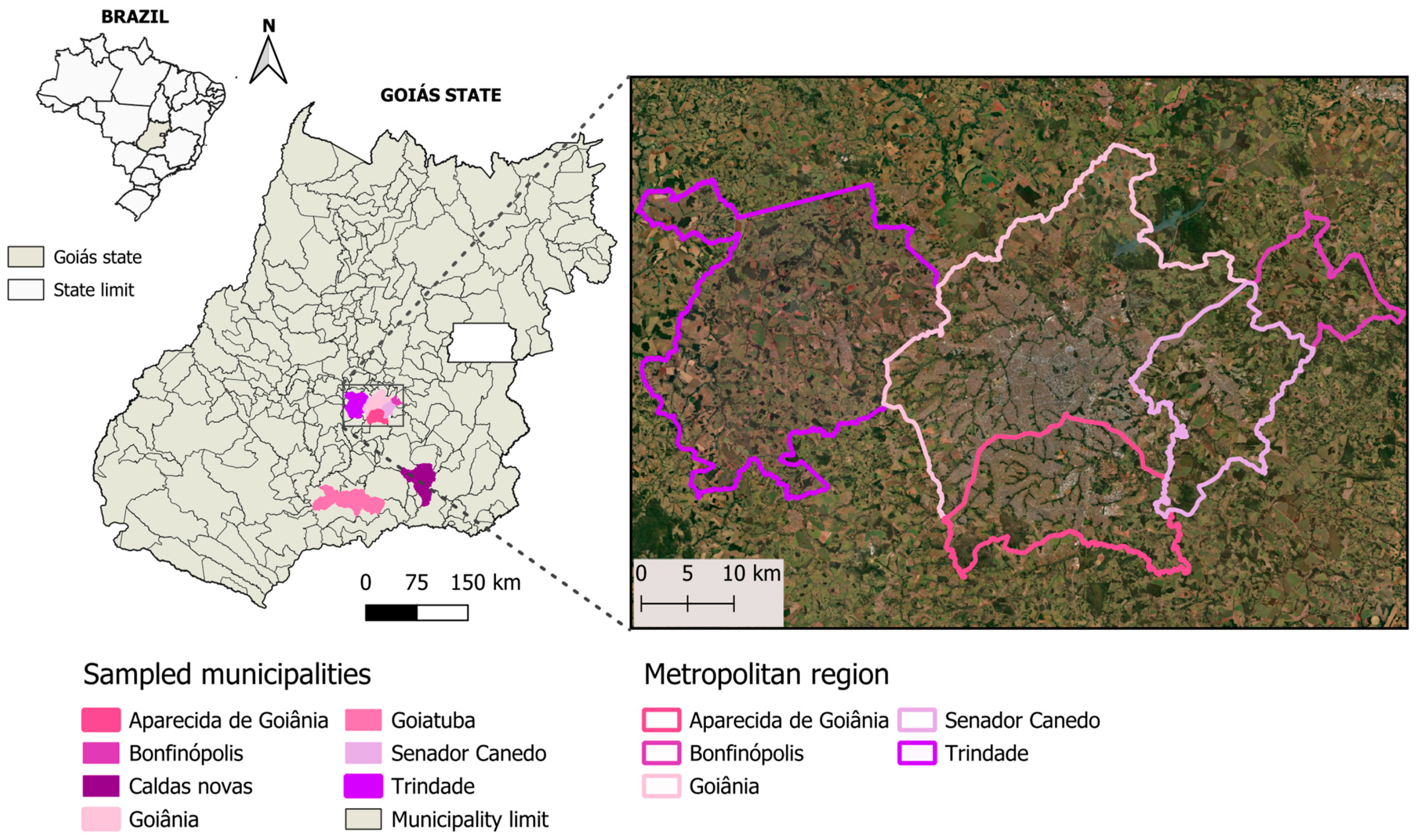 Microorganisms 12 02171 g001