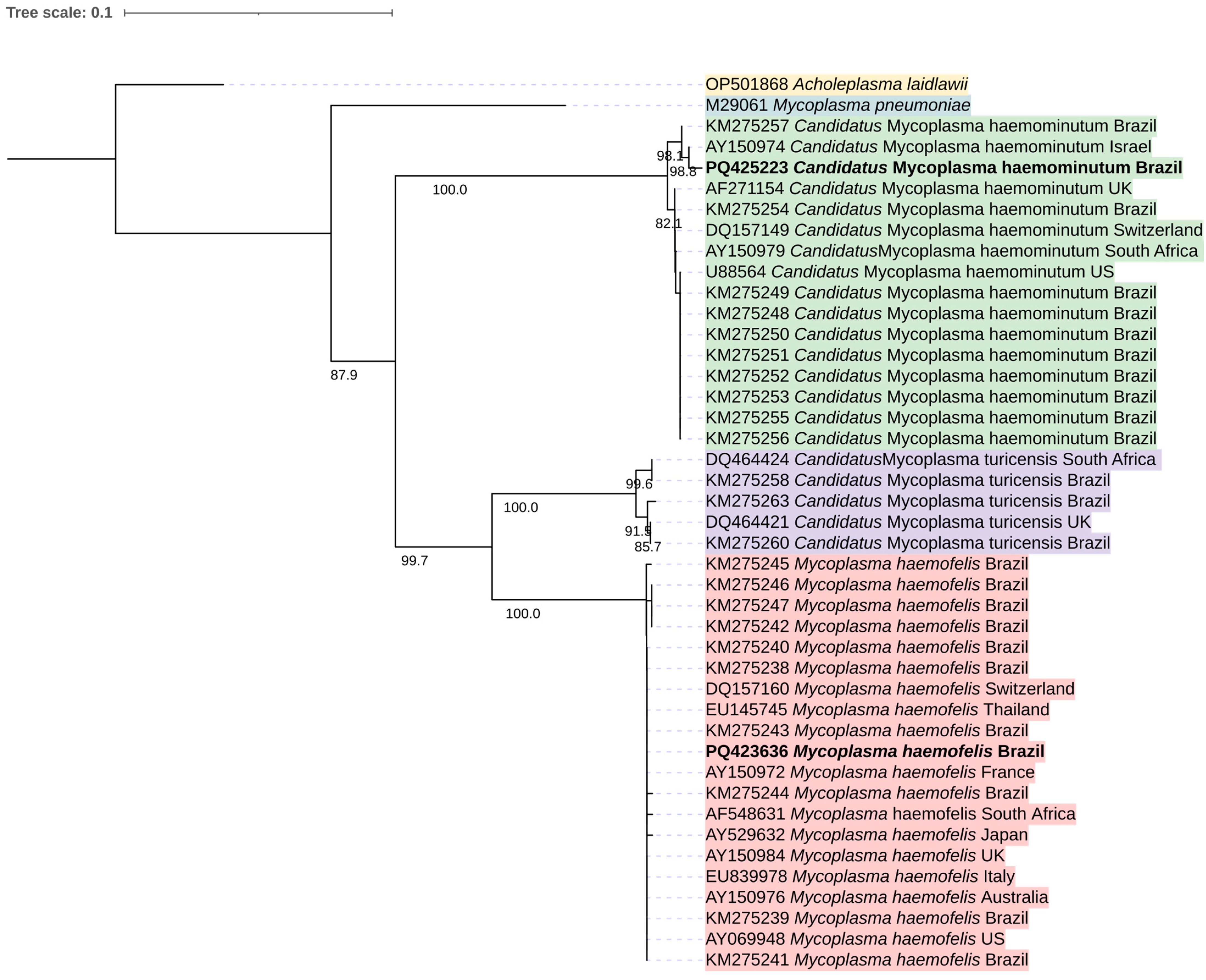 Microorganisms 12 02171 g002