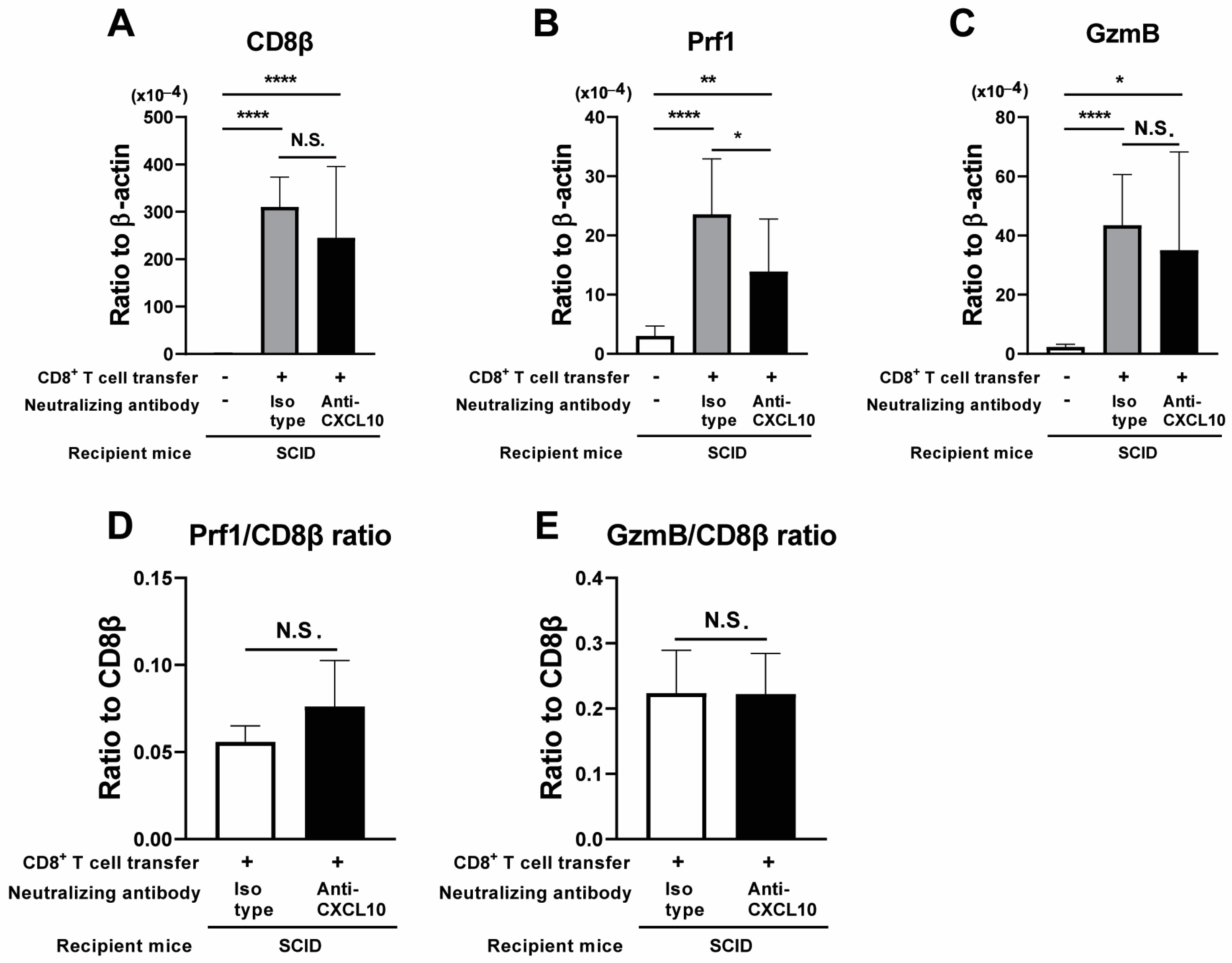 Microorganisms 12 02172 g002 Microorganisms 12 02172 g002