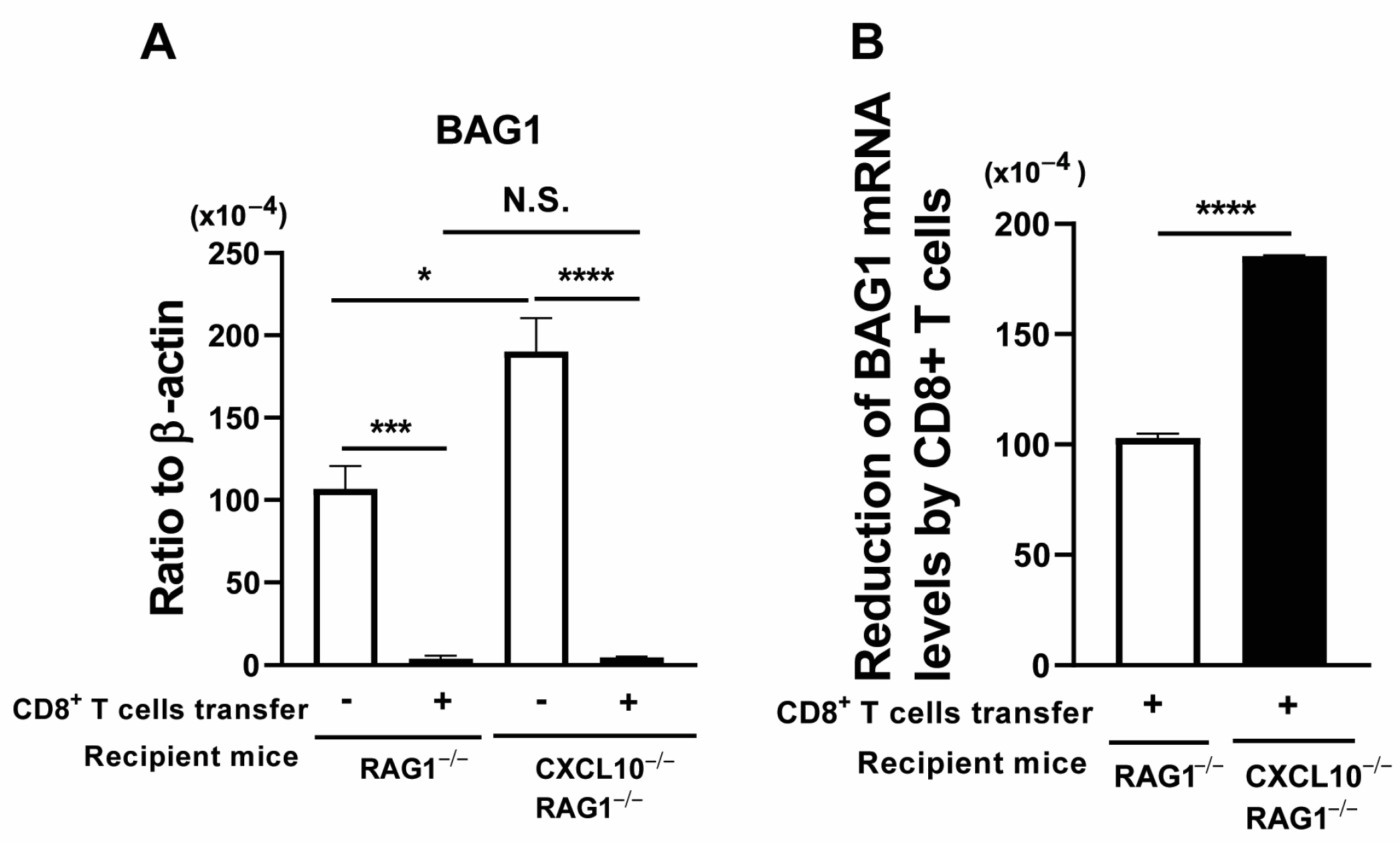 Microorganisms 12 02172 g004 Microorganisms 12 02172 g004