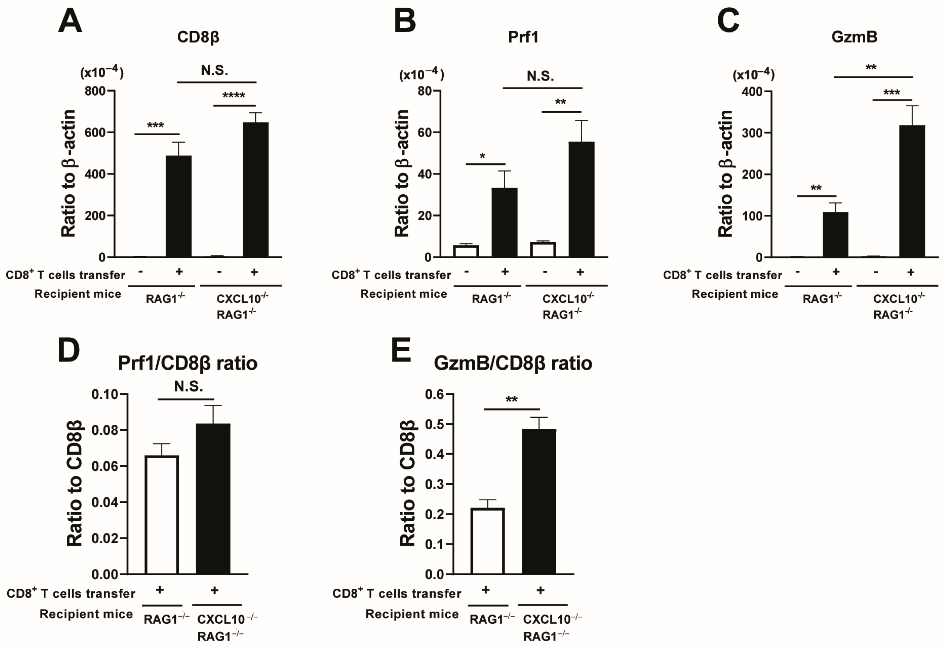 Microorganisms 12 02172 g005 Microorganisms 12 02172 g005