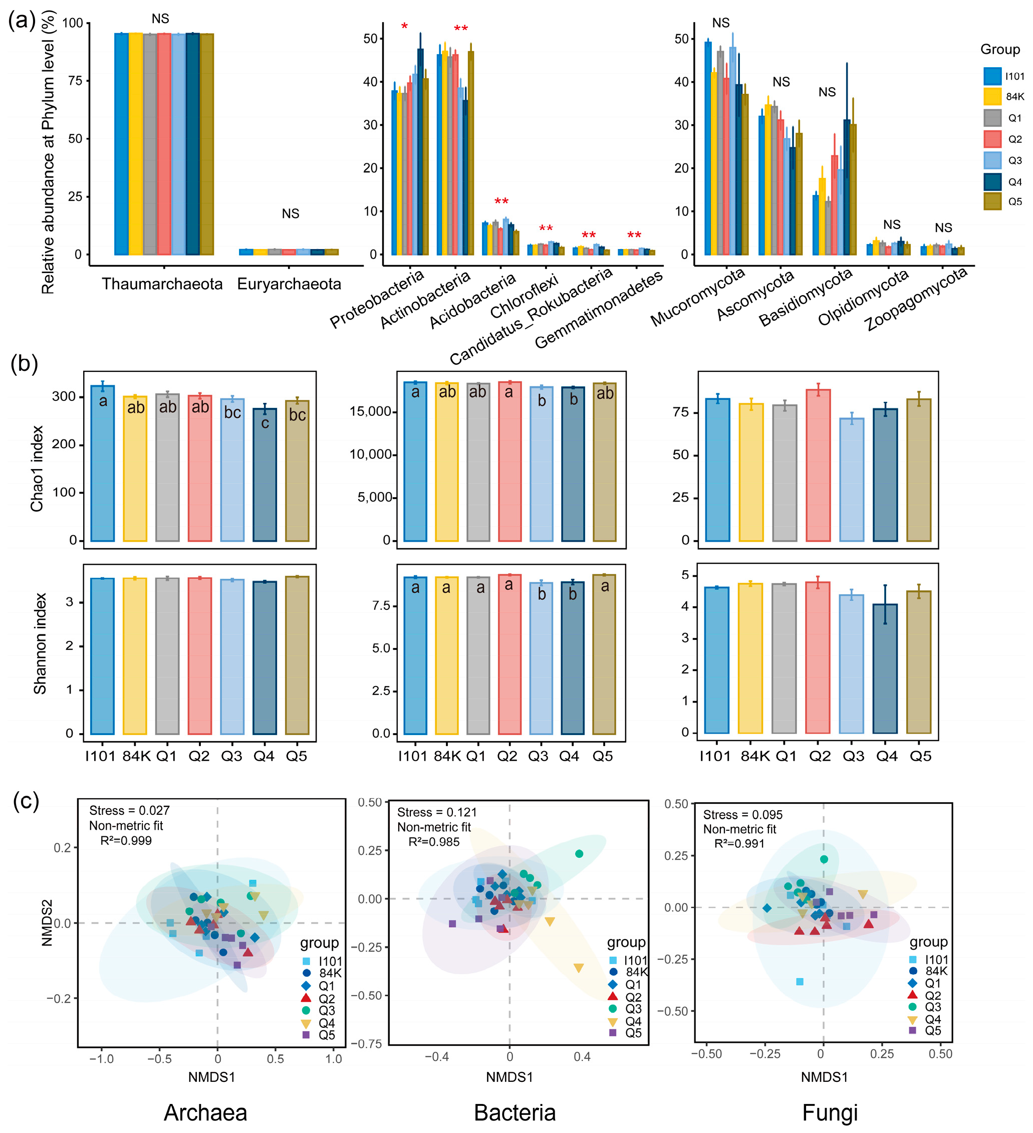 Microorganisms 12 02176 g001