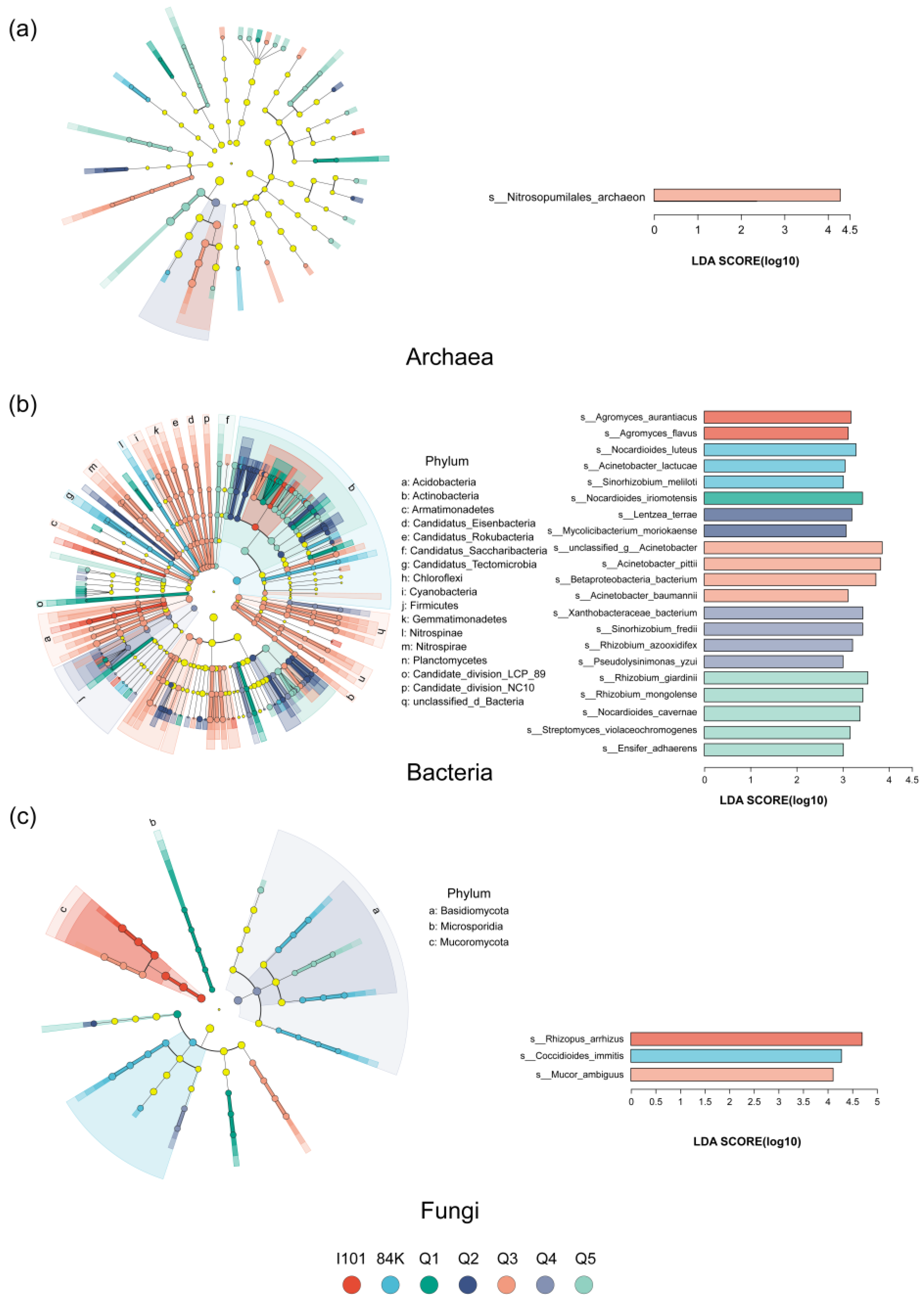 Microorganisms 12 02176 g002