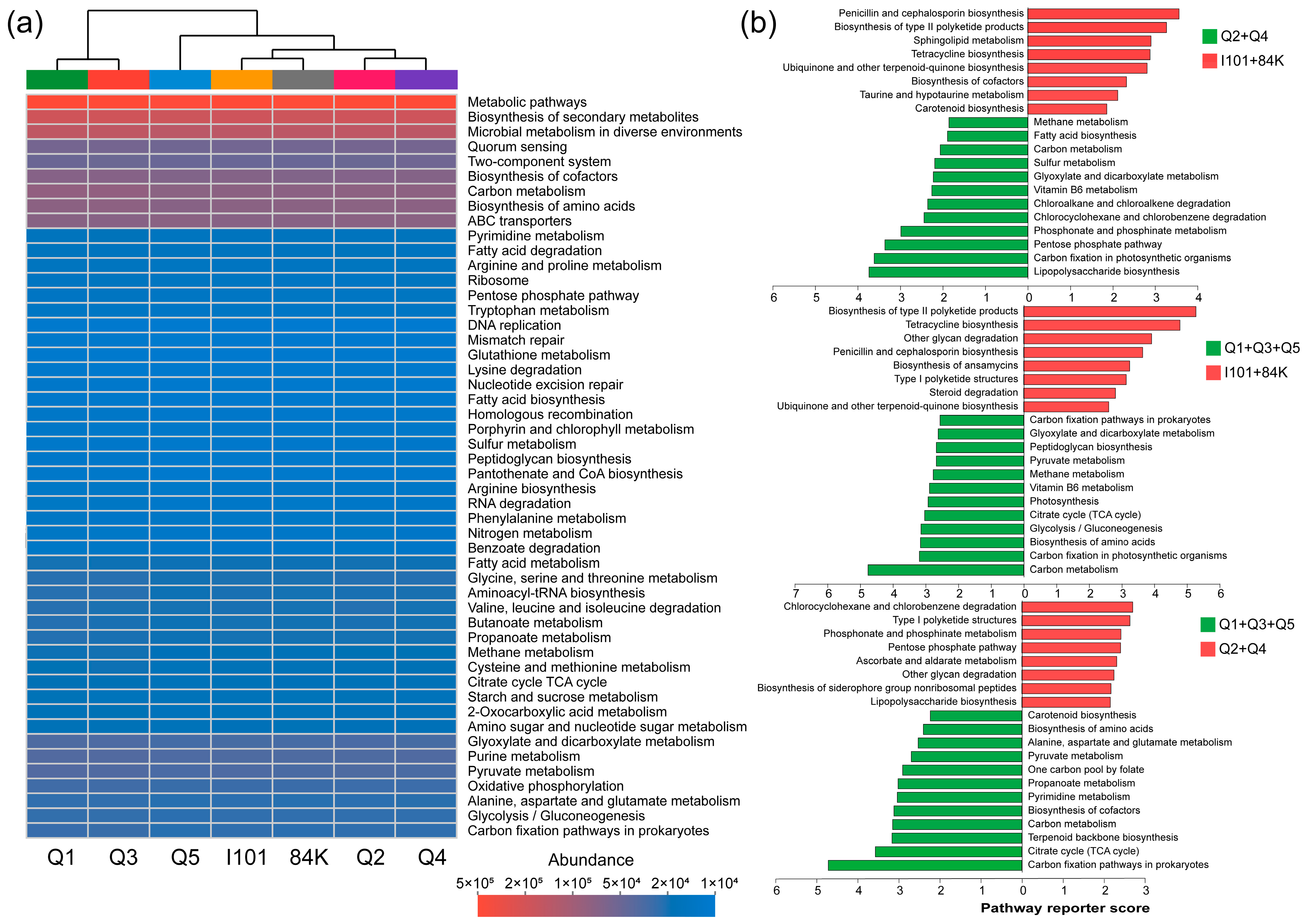 Microorganisms 12 02176 g004