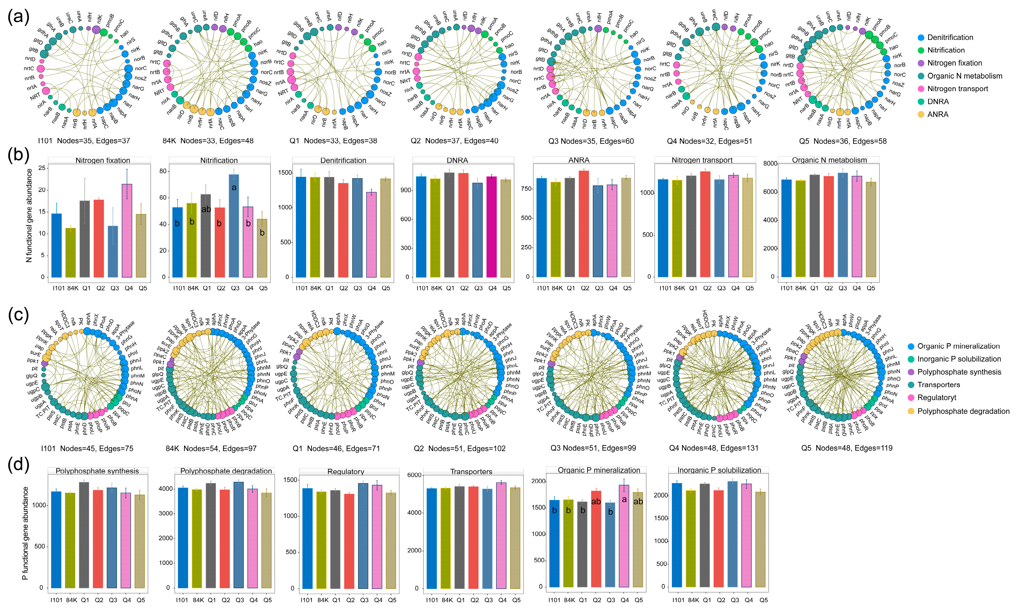 Microorganisms 12 02176 g005