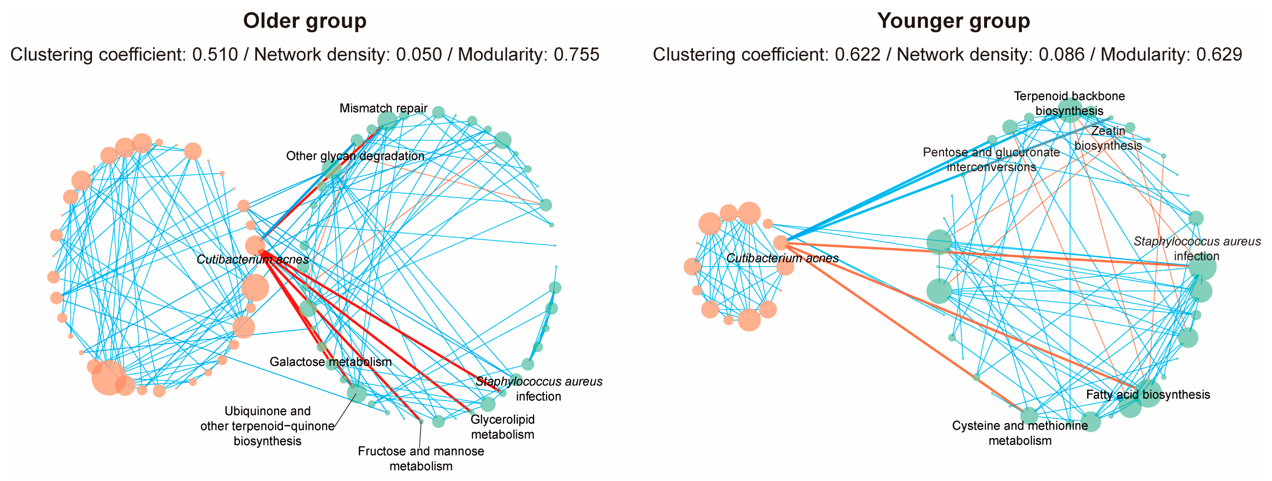 Microorganisms 12 02179 g006