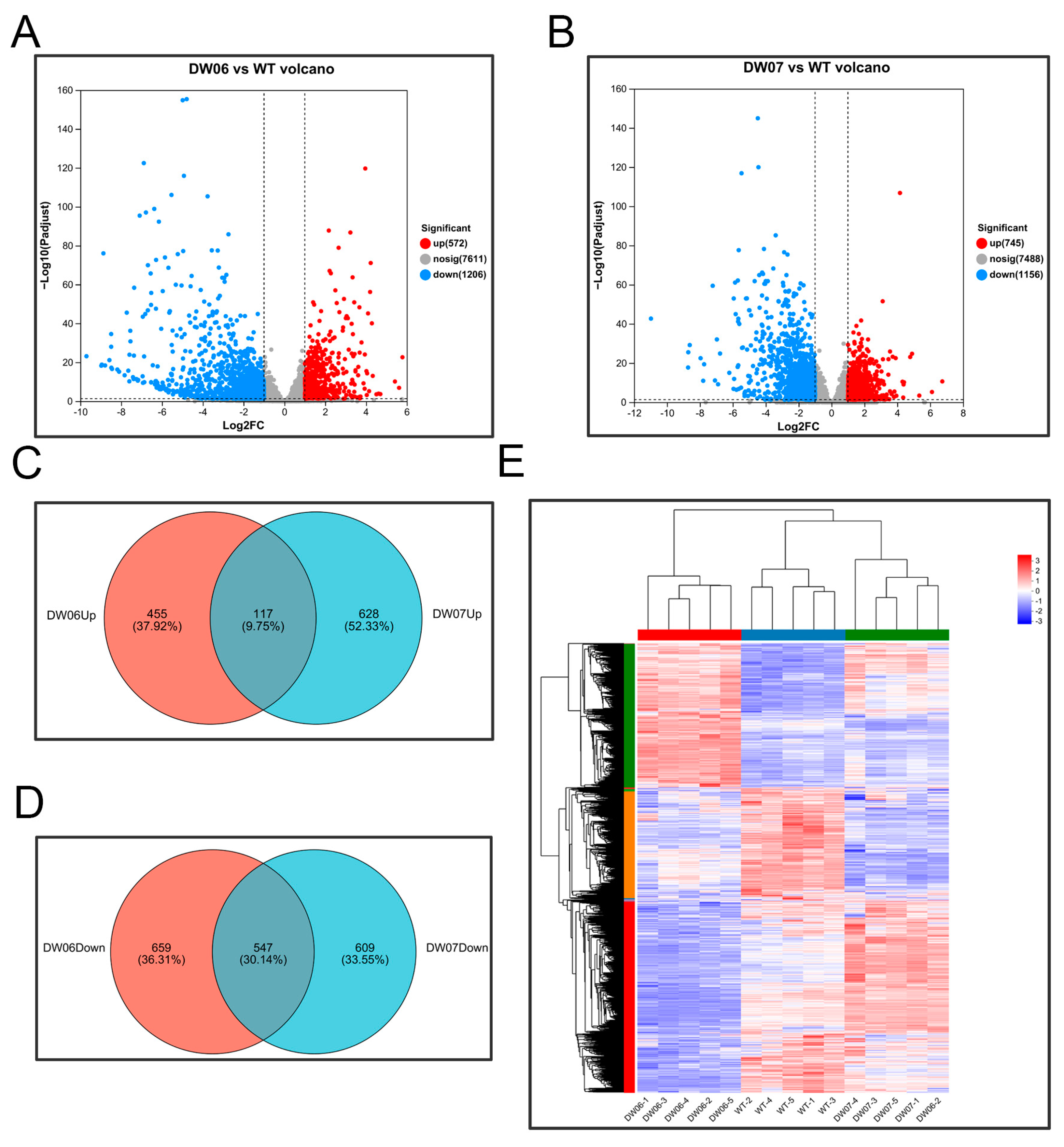 Microorganisms 12 02190 g003