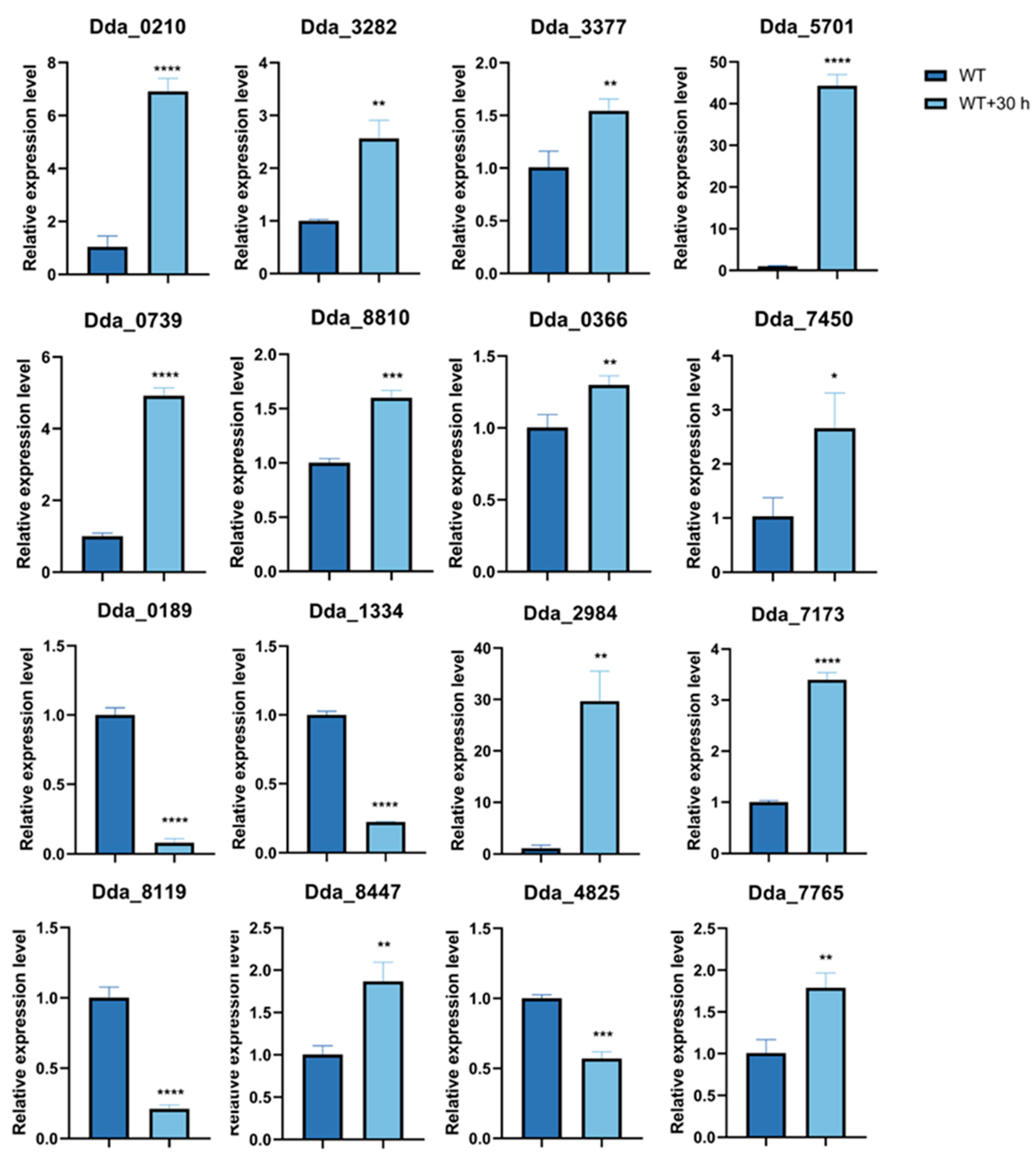 Microorganisms 12 02190 g005