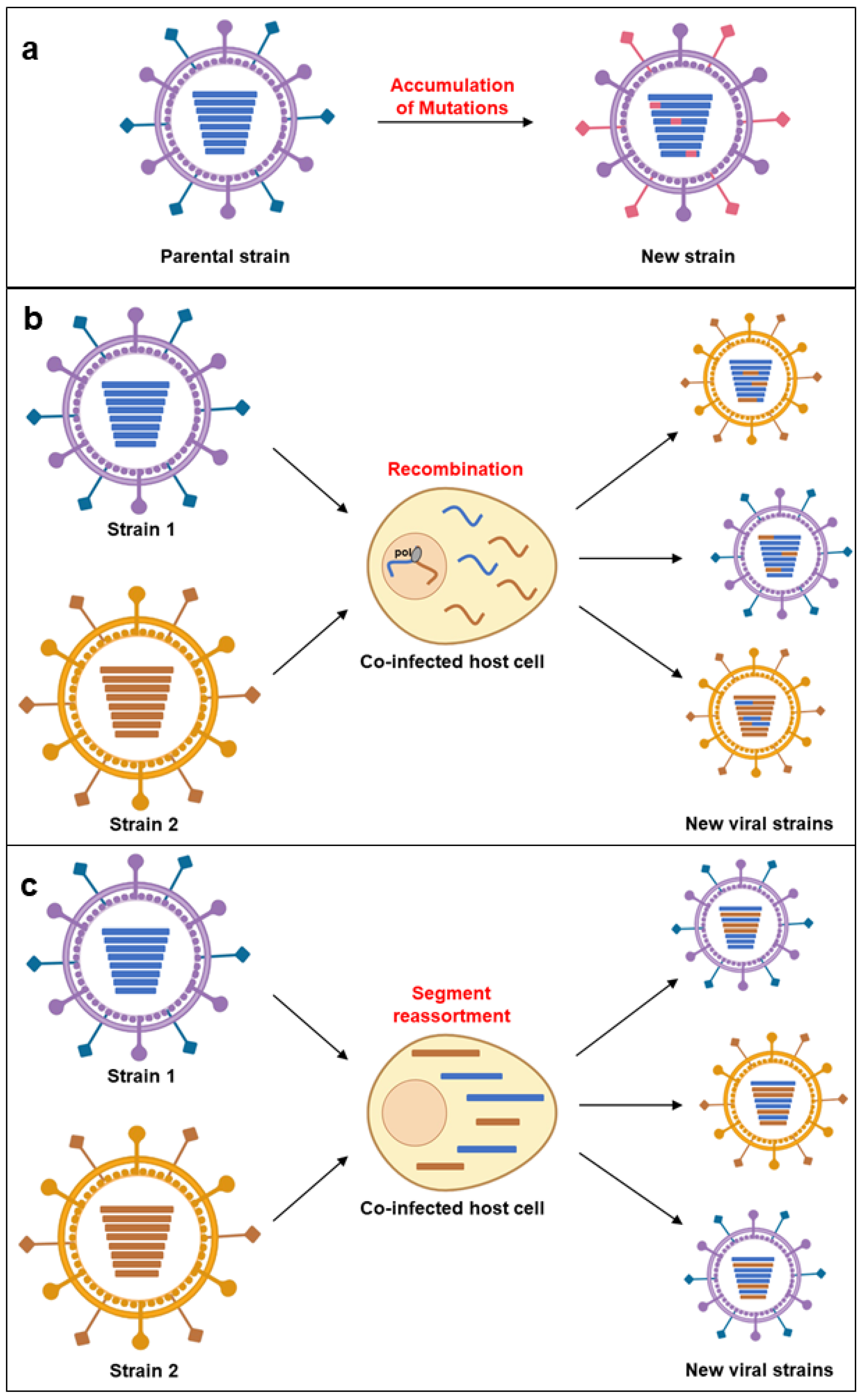 Microorganisms 12 02191 g001