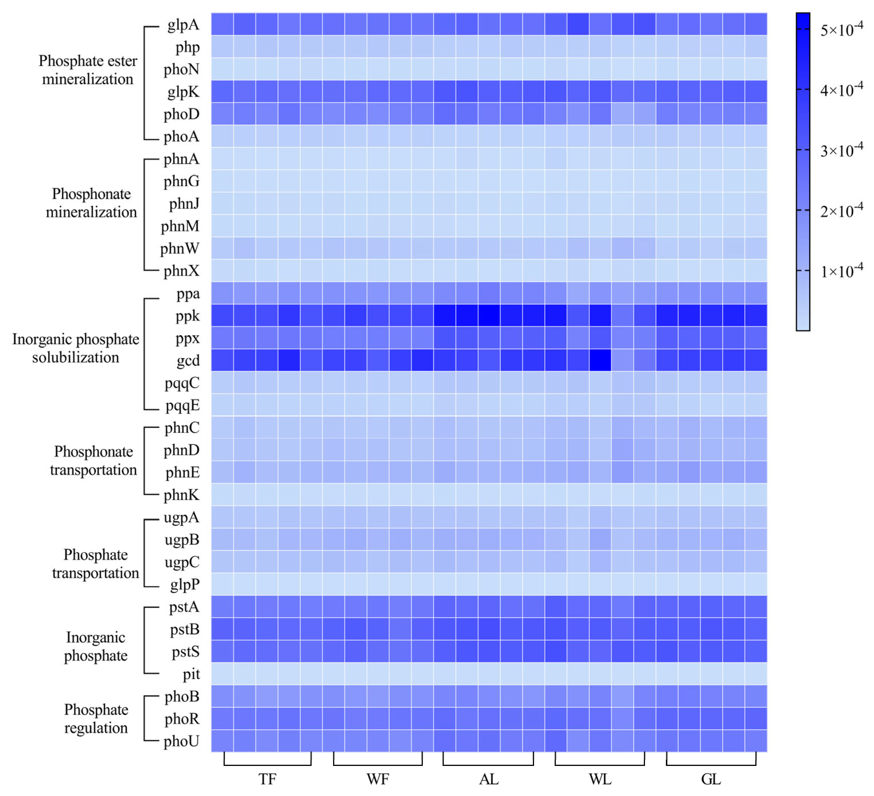 Microorganisms 12 02194 g002