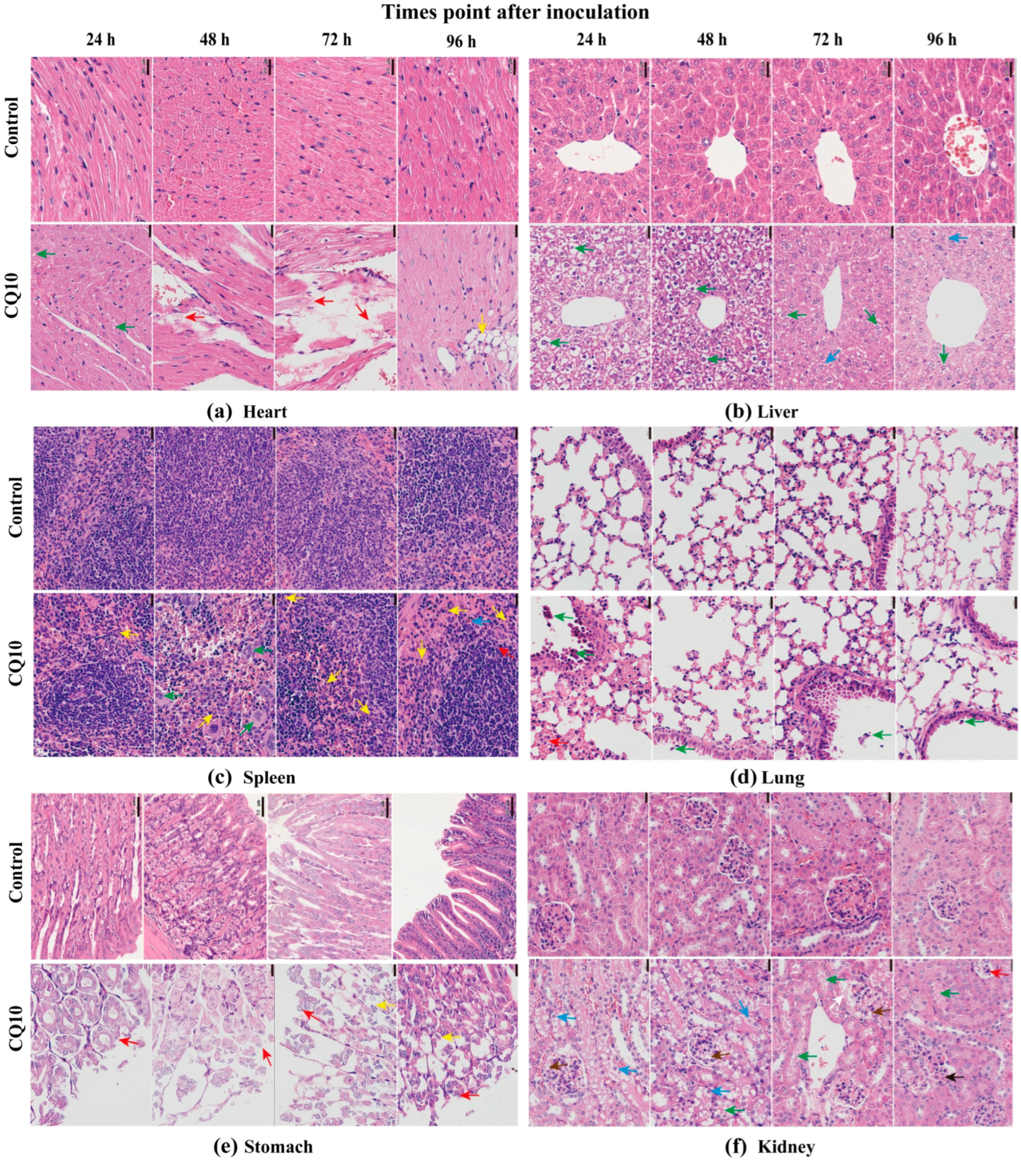 Microorganisms 12 02197 g002 Microorganisms 12 02197 g002