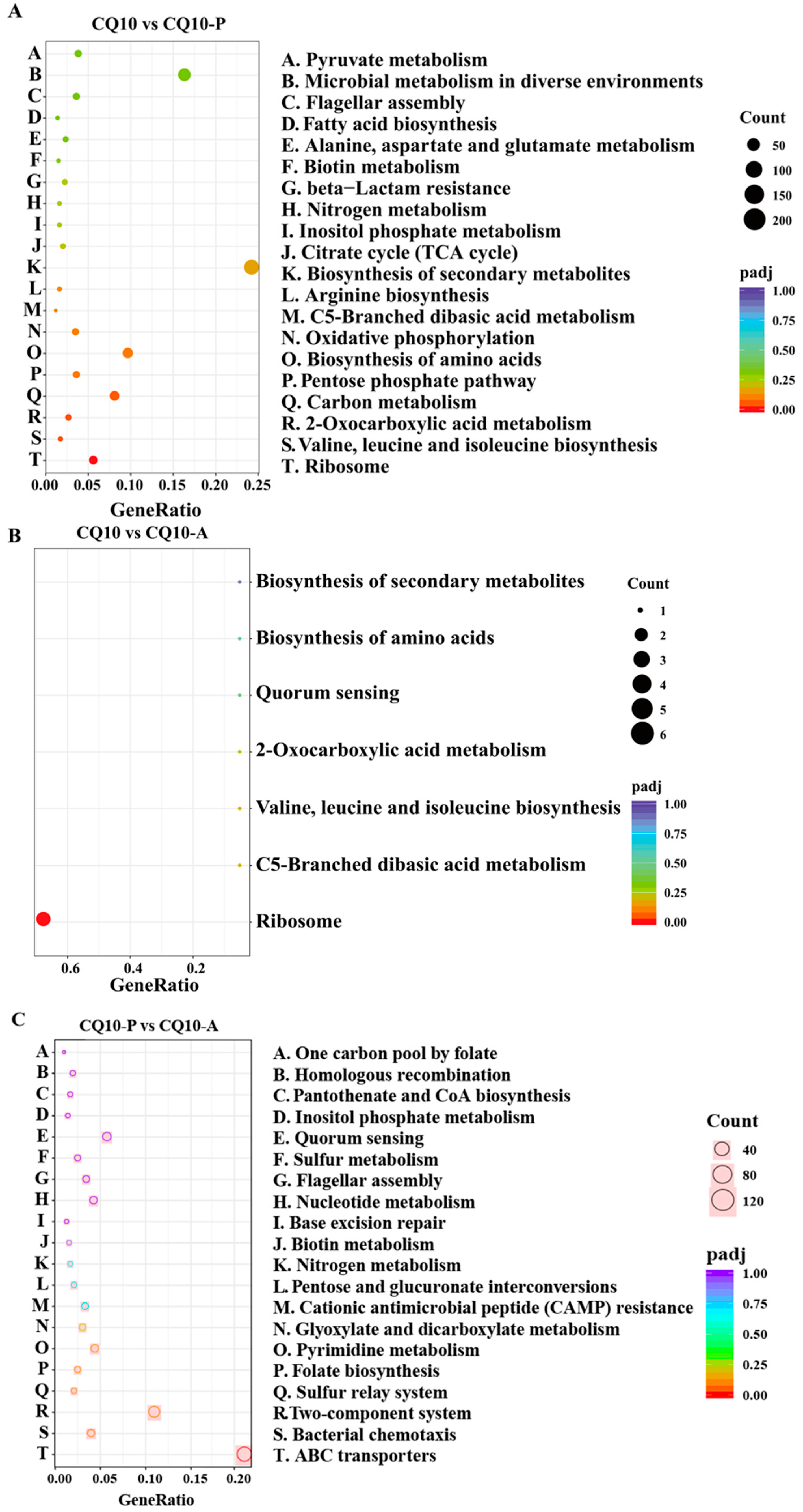 Microorganisms 12 02197 g005 Microorganisms 12 02197 g005