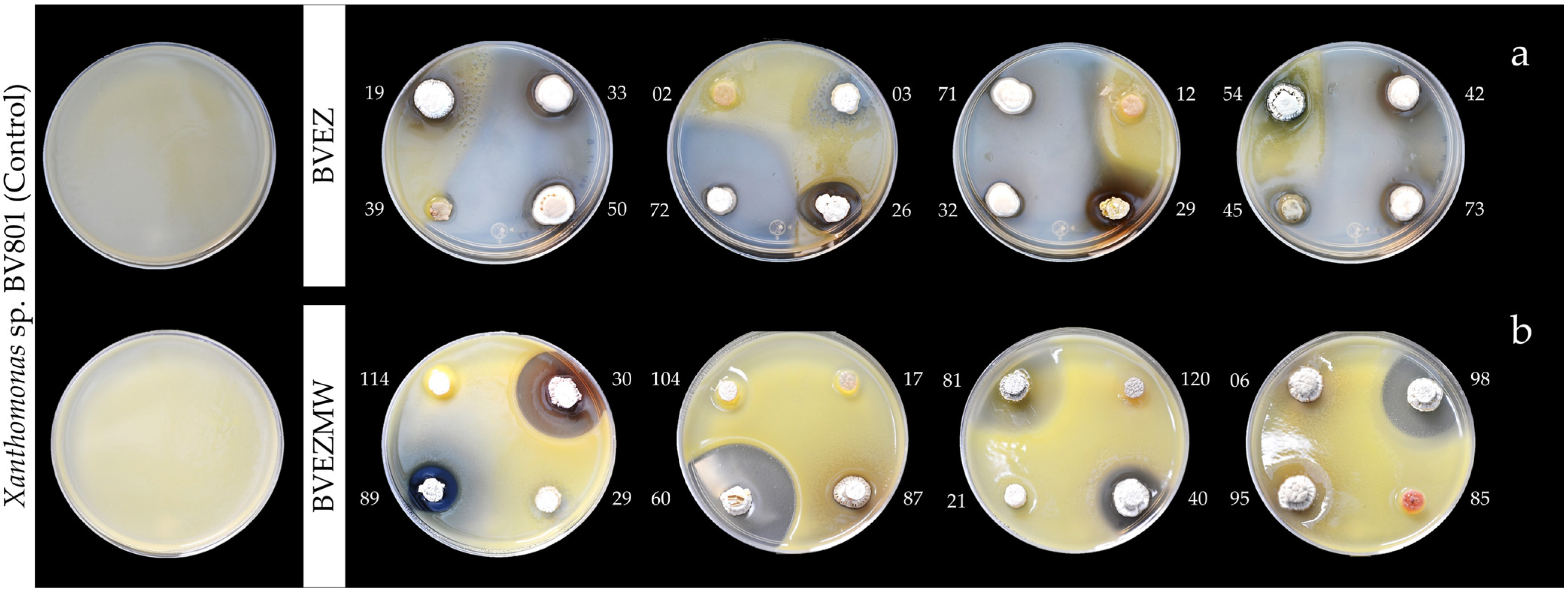 Microorganisms 12 02199 g002