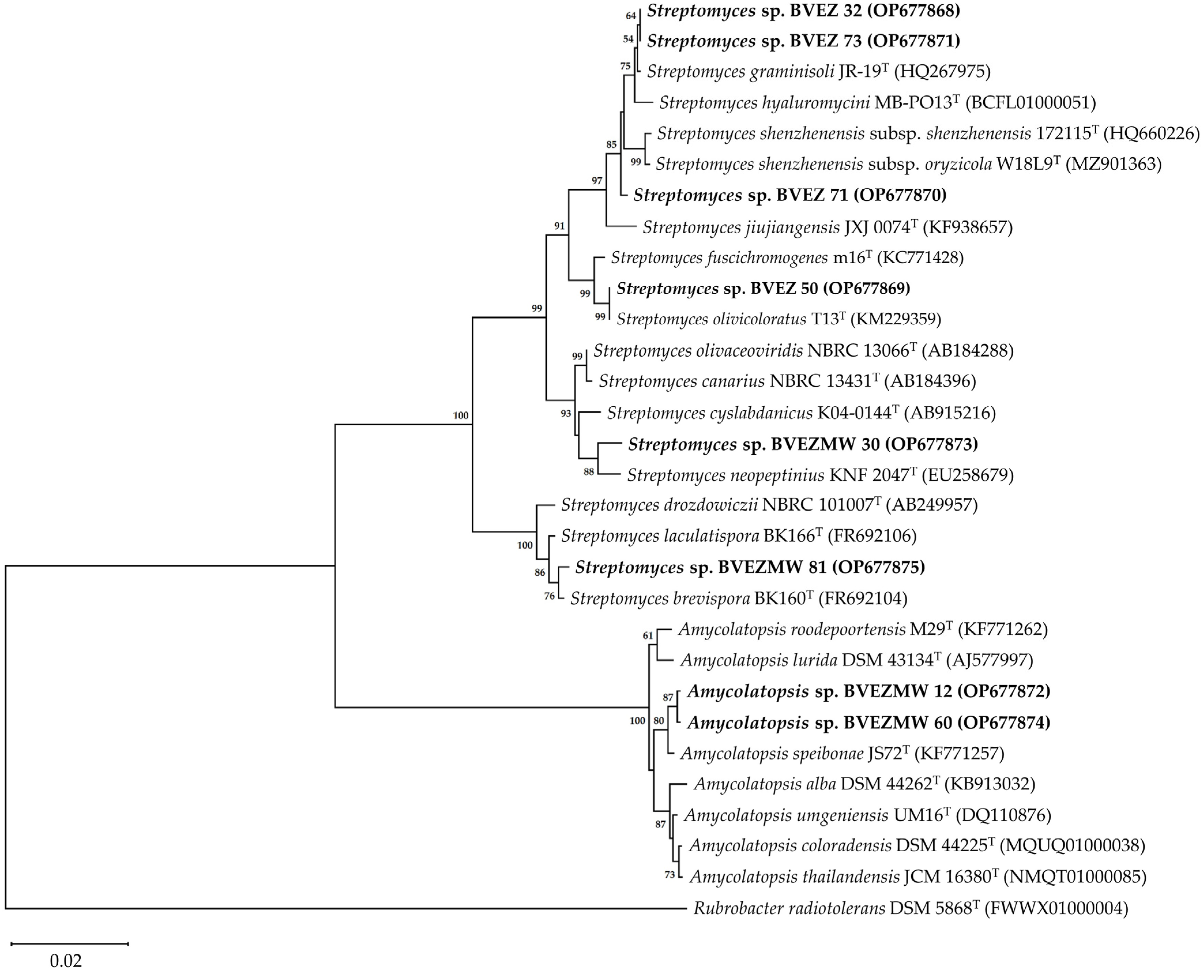 Microorganisms 12 02199 g005