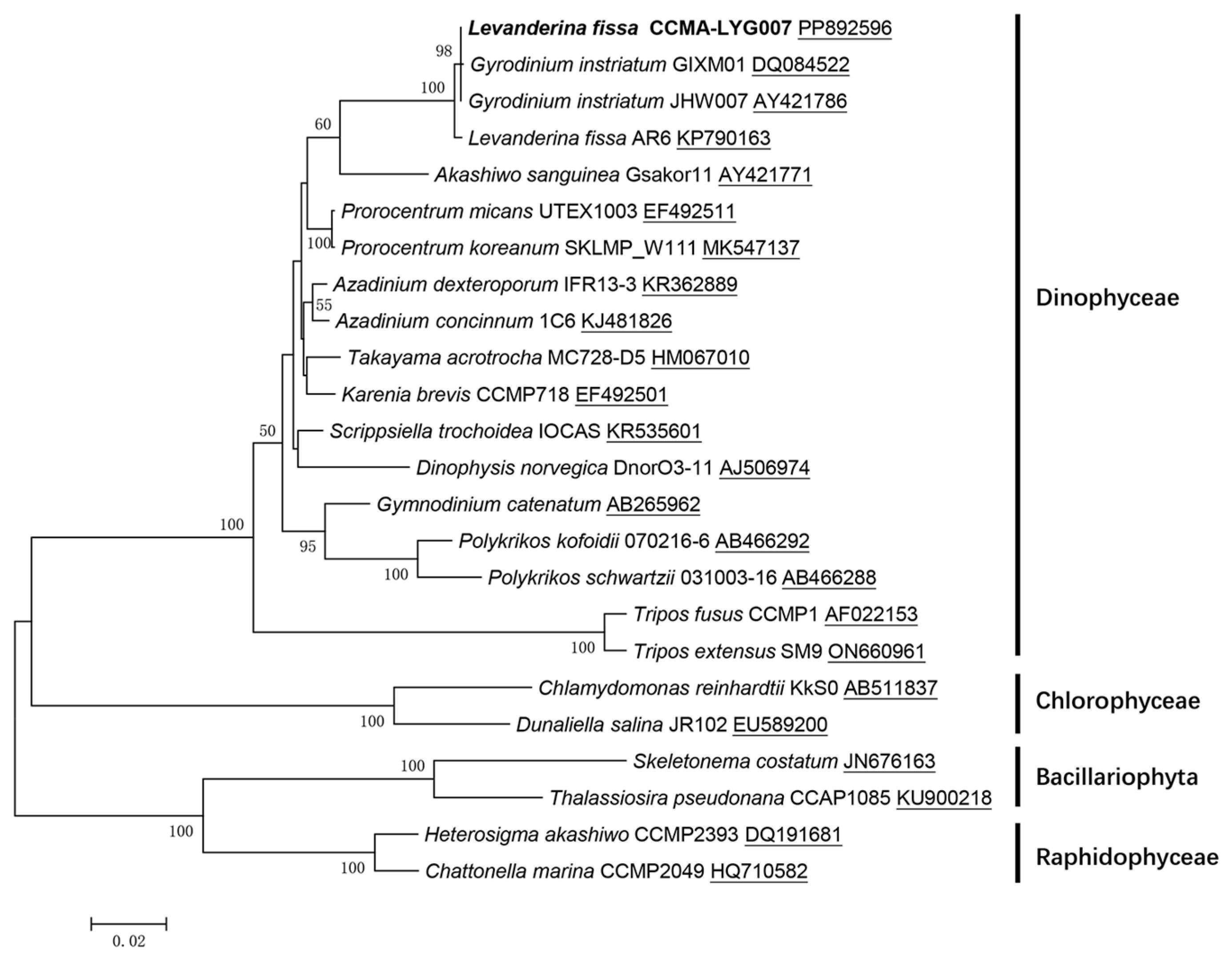 Microorganisms 12 02202 g002
