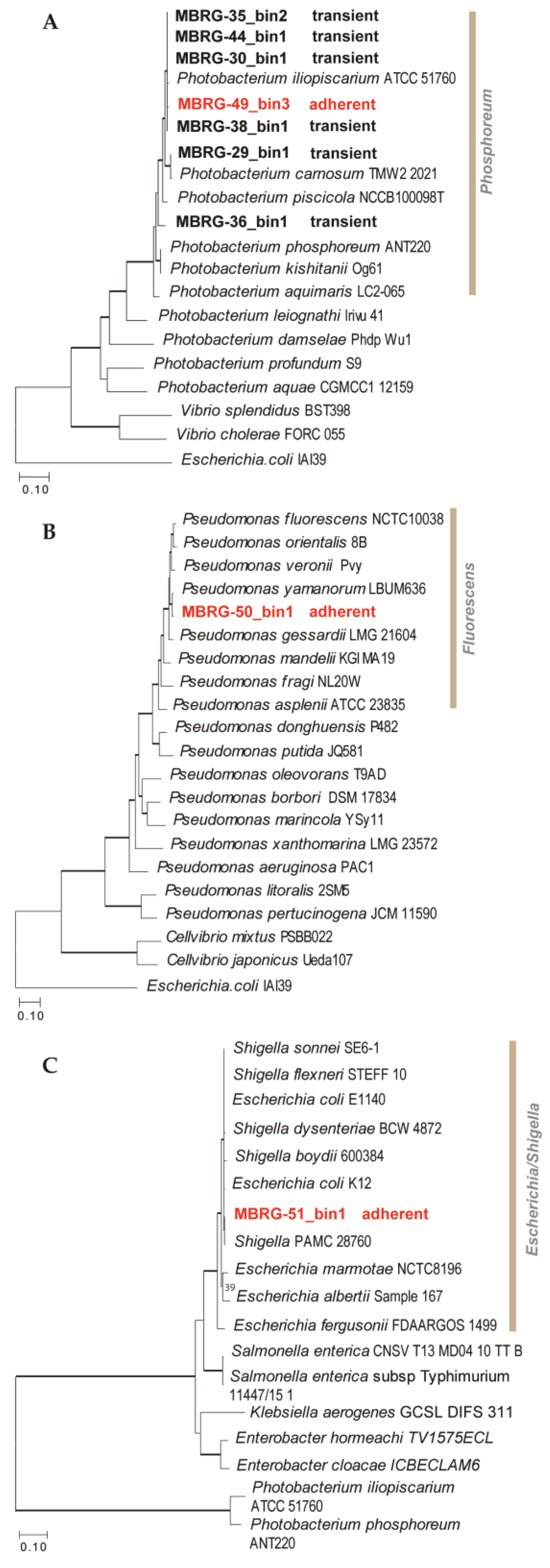 Microorganisms 12 02204 g005