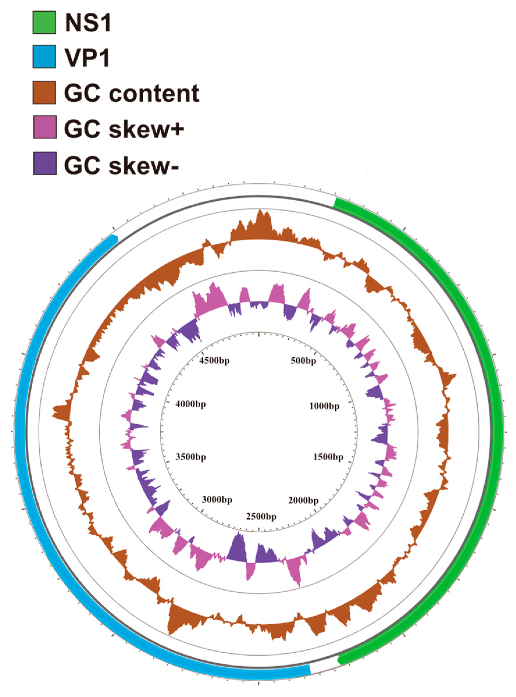 Microorganisms 12 02205 g002