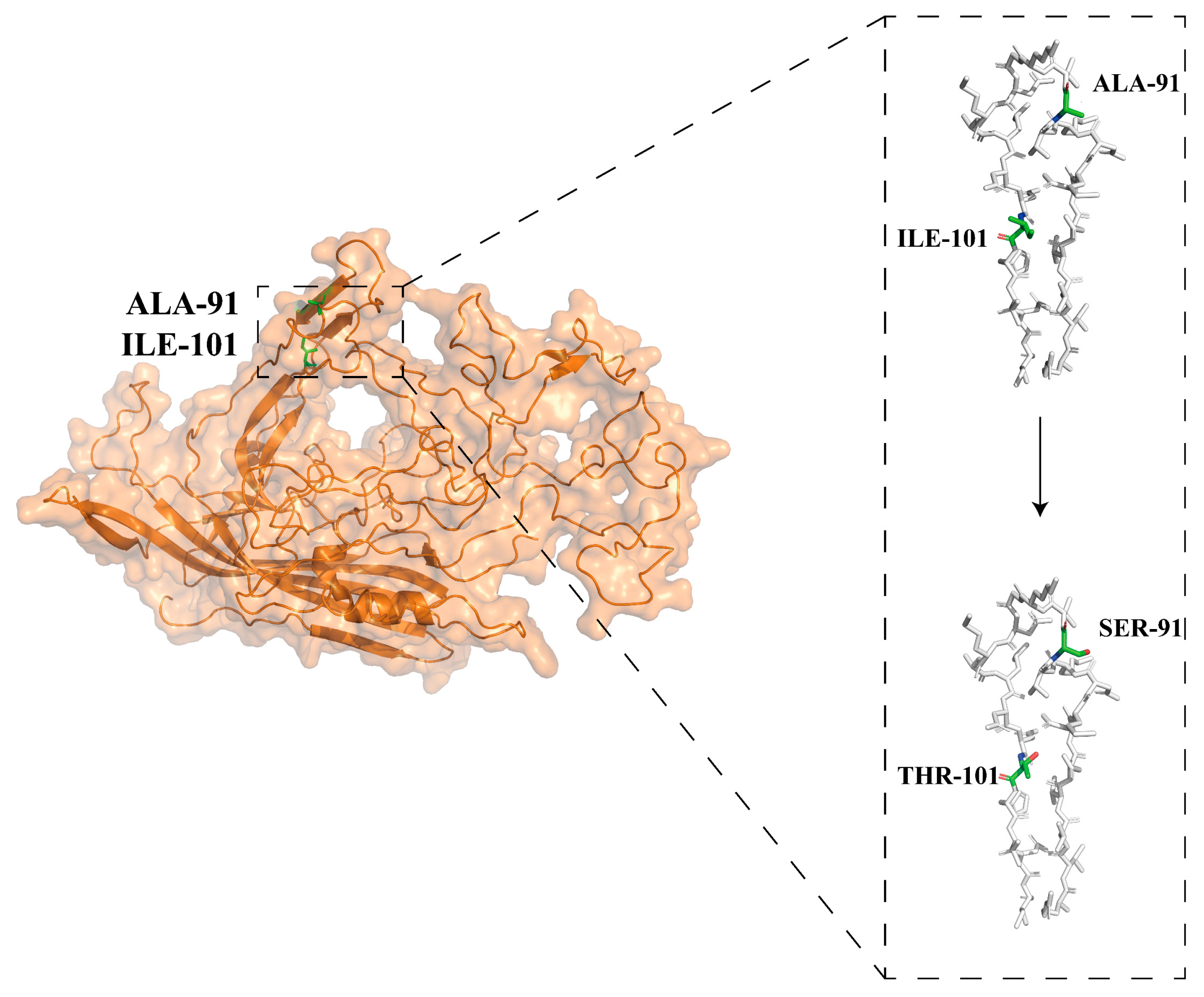 Microorganisms 12 02205 g005