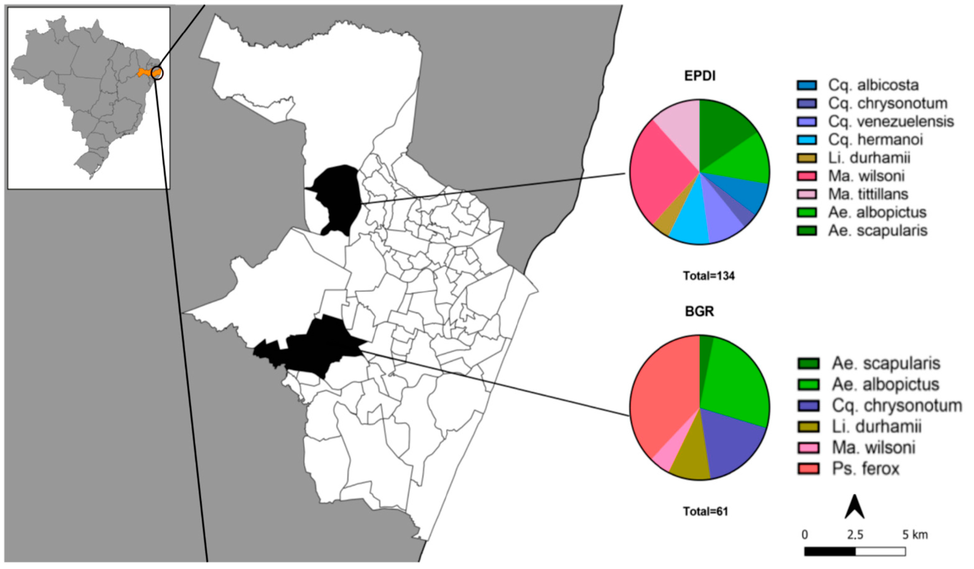 Microorganisms 12 02206 g001