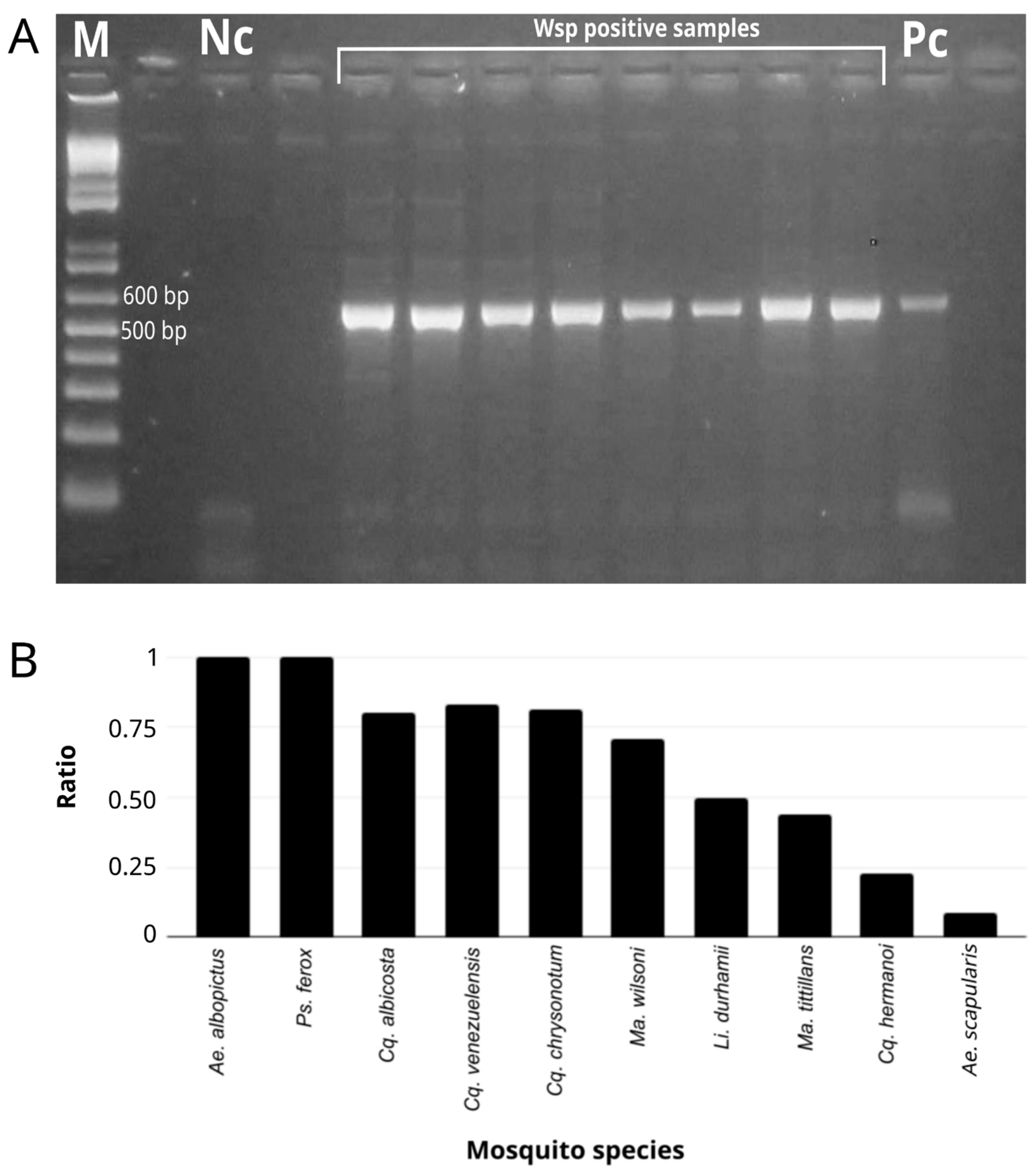 Microorganisms 12 02206 g002