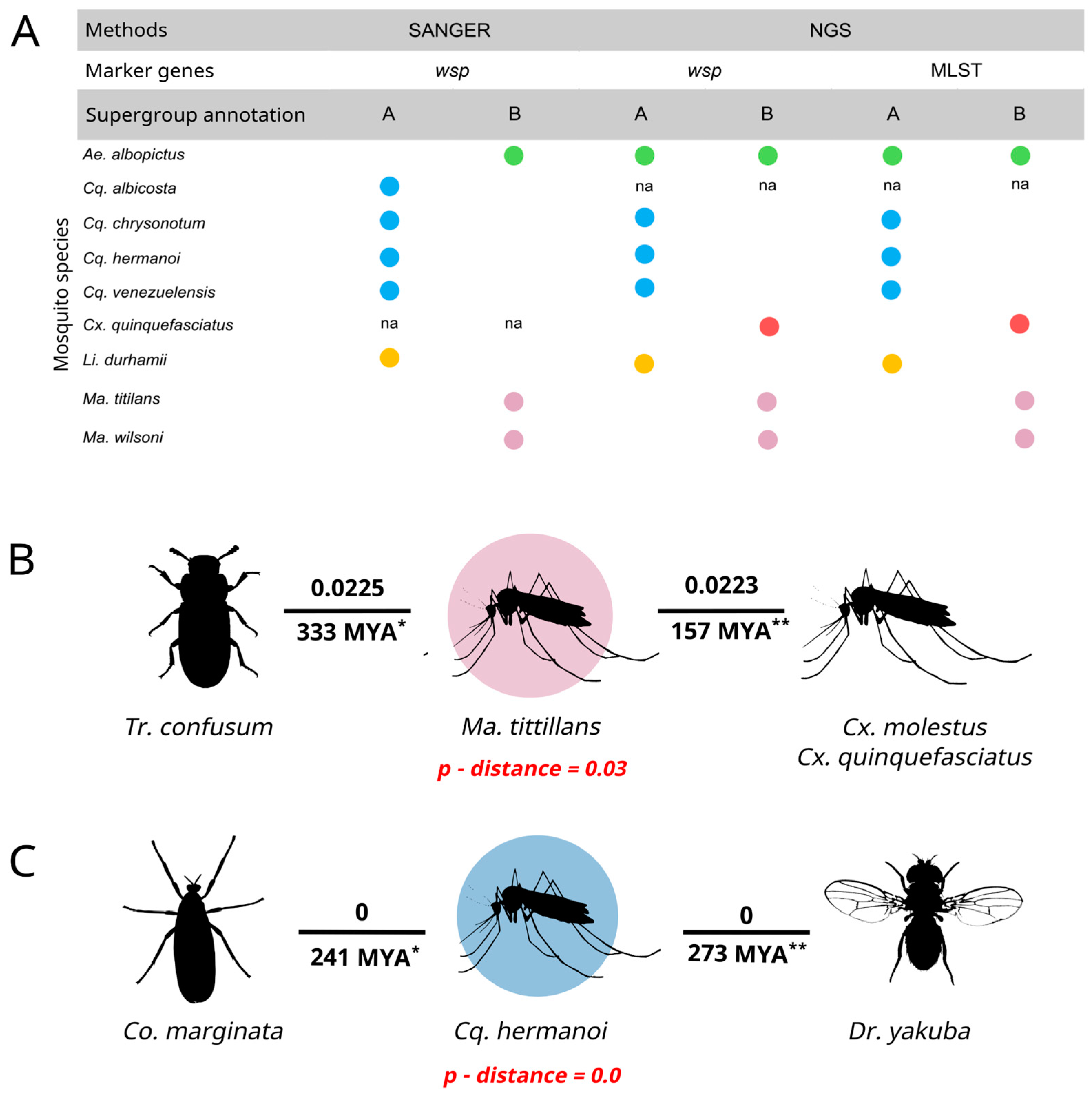 Microorganisms 12 02206 g006
