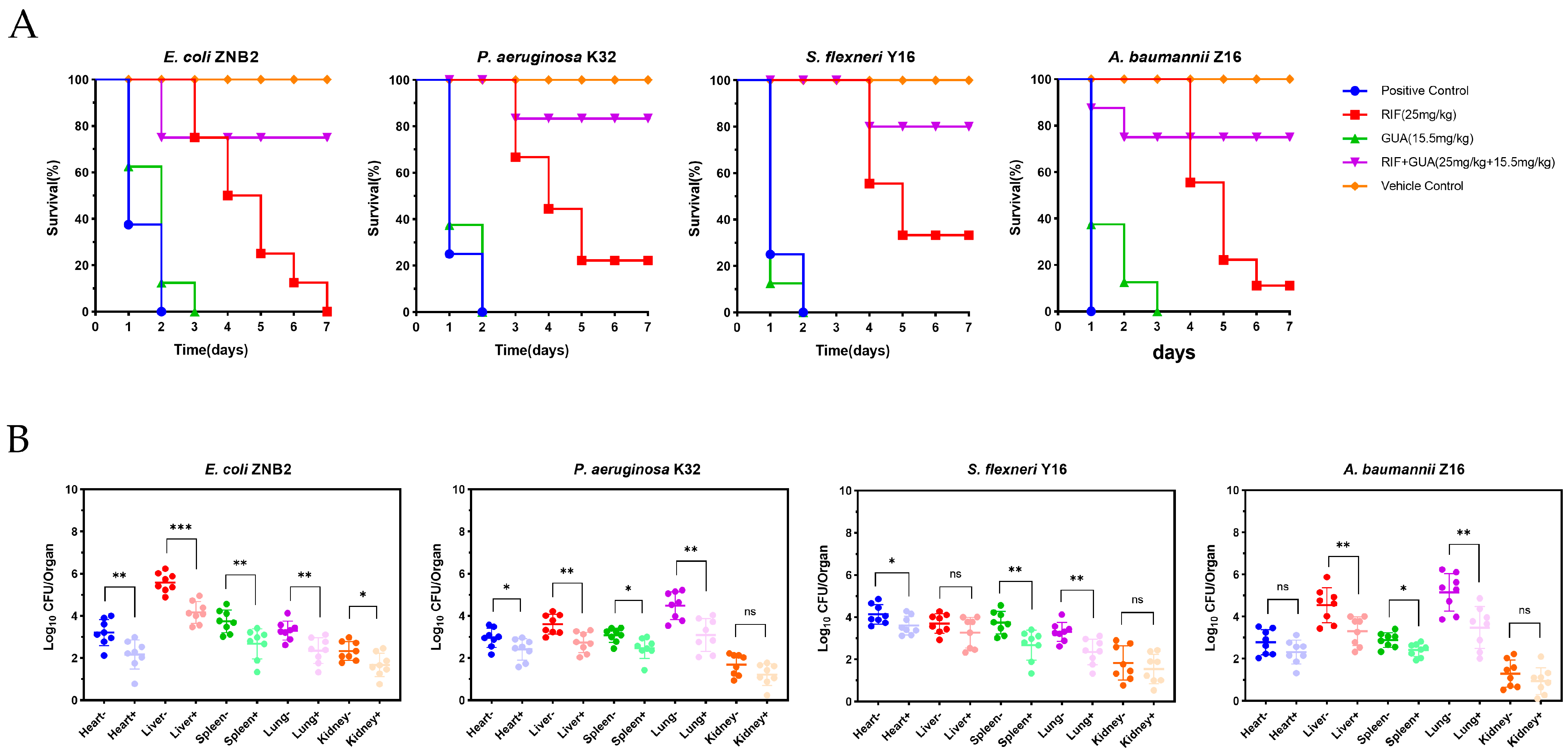Microorganisms 12 02207 g010